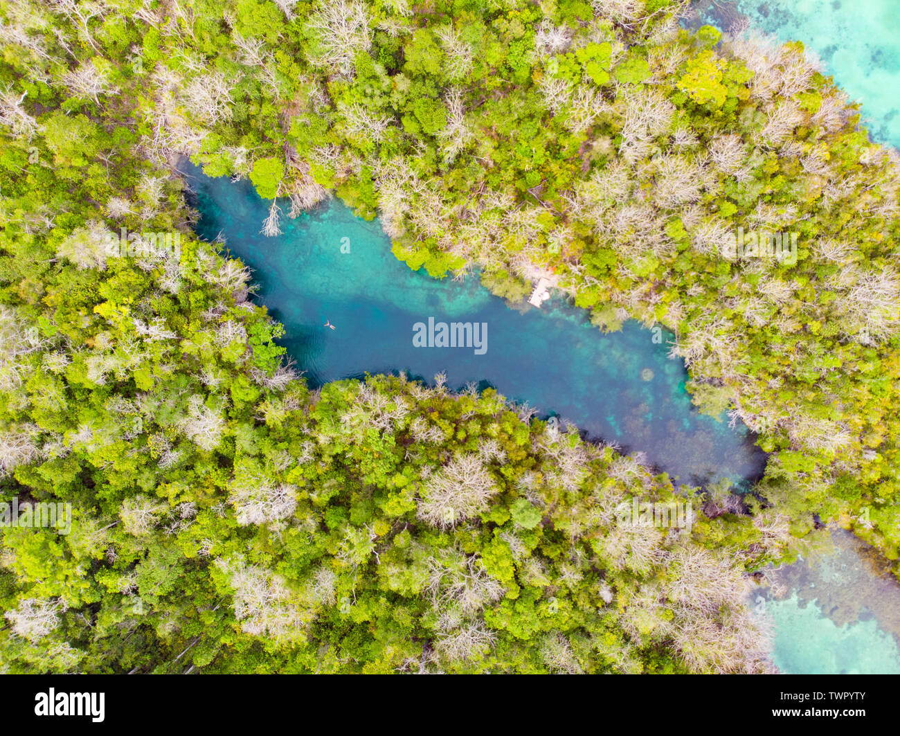 Luftbild von Oben nach Unten anzeigen tropisches Paradies unberührte Küste rainforest Blue Lake an Bair Insel. Indonesien Molukken Archipel, Kei Inseln, Banda See Stockfoto