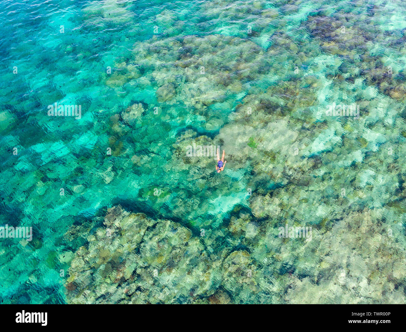 Luftbild von oben nach unten Leute Schnorcheln am Korallenriff tropische Karibik, türkisblaues Wasser. Indonesien Indonesien Molukken Inseln Banda Inseln, Stockfoto
