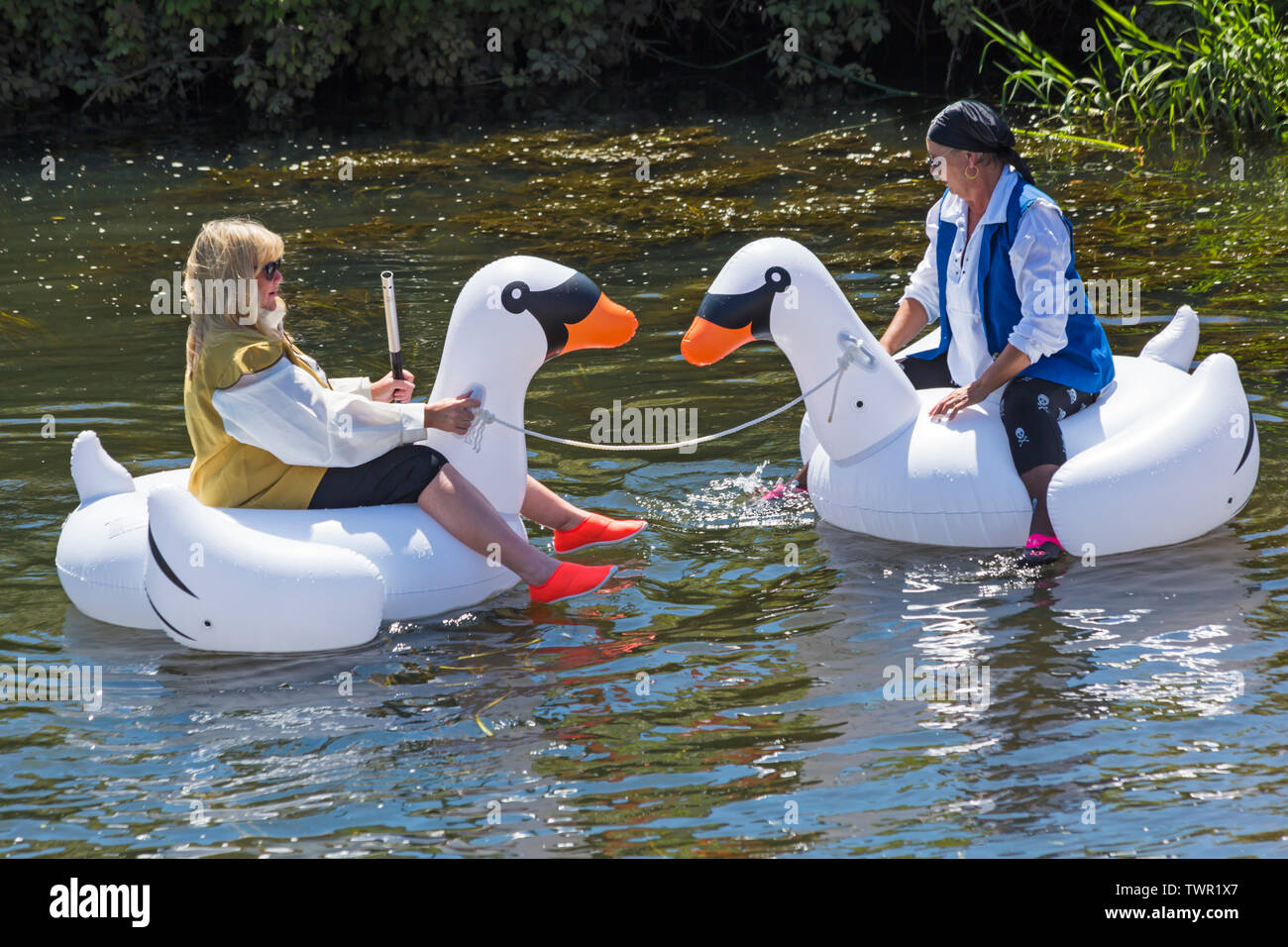 Iford, Dorset, Großbritannien. Am 22. Juni 2019. Perfektes Wetter, warm und sonnig, noch für Dorset Beiboot Tag mit Hunderten von Schlauchboote, Faltboote, Handwerk, Platten bilden eine Flottille Segeln von iford Brücke, den Fluss Stour zu Tuckton Brücke. Die Veranstaltung begann im Jahr 2014 als ein wenig Spaß, aber hat jetzt eine jährliche Veranstaltung Geld für Nächstenliebe und Getter jedes Jahr größer geworden. Frauen Spaß in Aufblasbare swan Schlauchboote. Credit: Carolyn Jenkins/Alamy leben Nachrichten Stockfoto