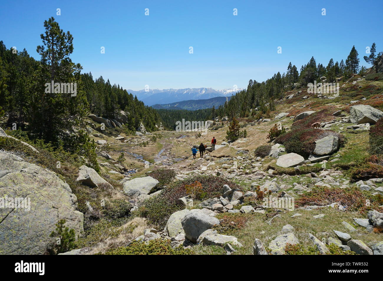 Frankreich Berglandschaft Wandern im Naturpark der katalanischen Pyrenäen, Pyrenees-Orientales Stockfoto