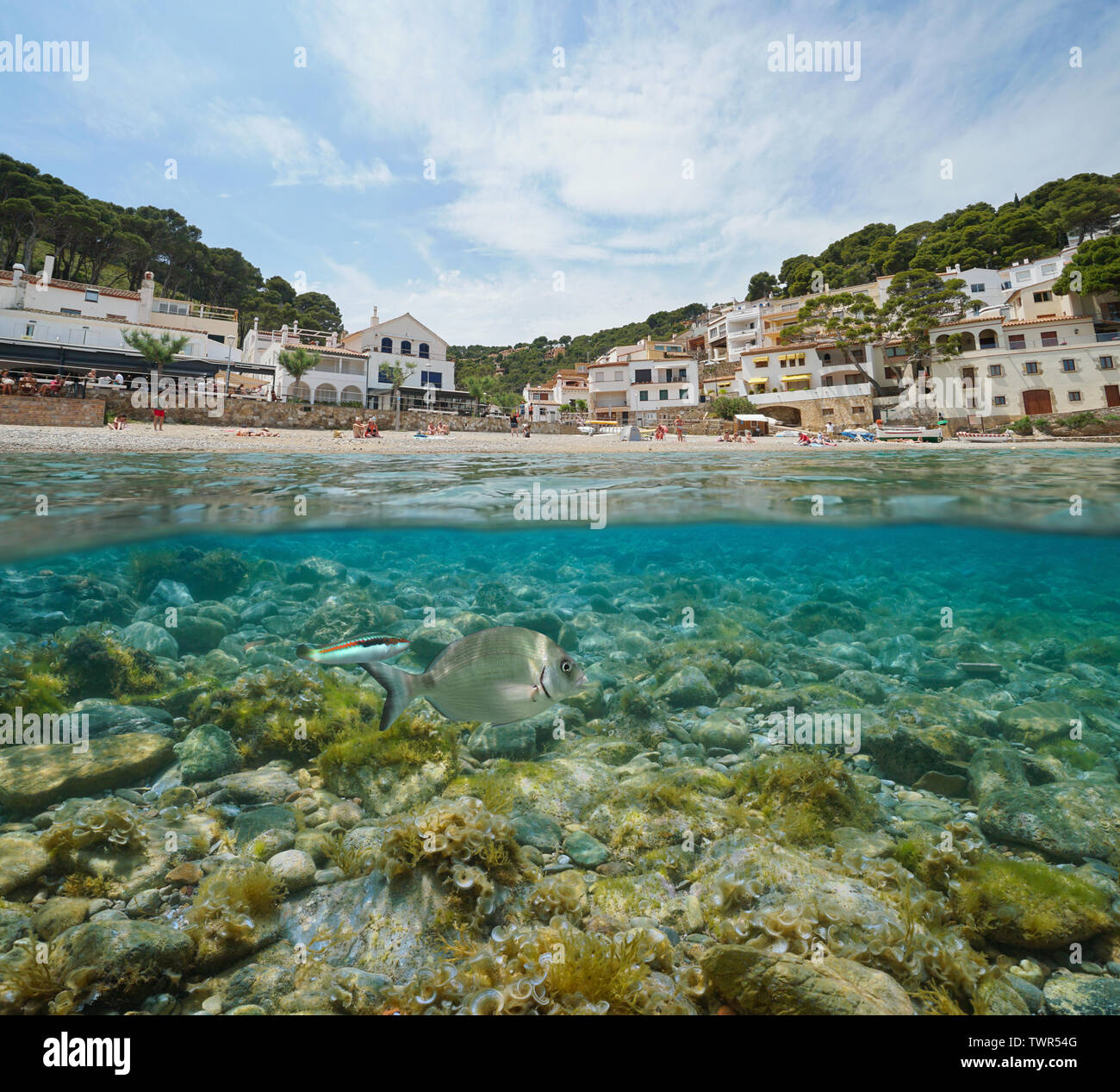 Spanien Strand Ufer in ein mediterranes Dorf an der Costa Brava mit Fisch und Felsen unter Wasser, Sa Tuna, Begur, Katalonien, geteilte Ansicht Hälfte über und unter Stockfoto