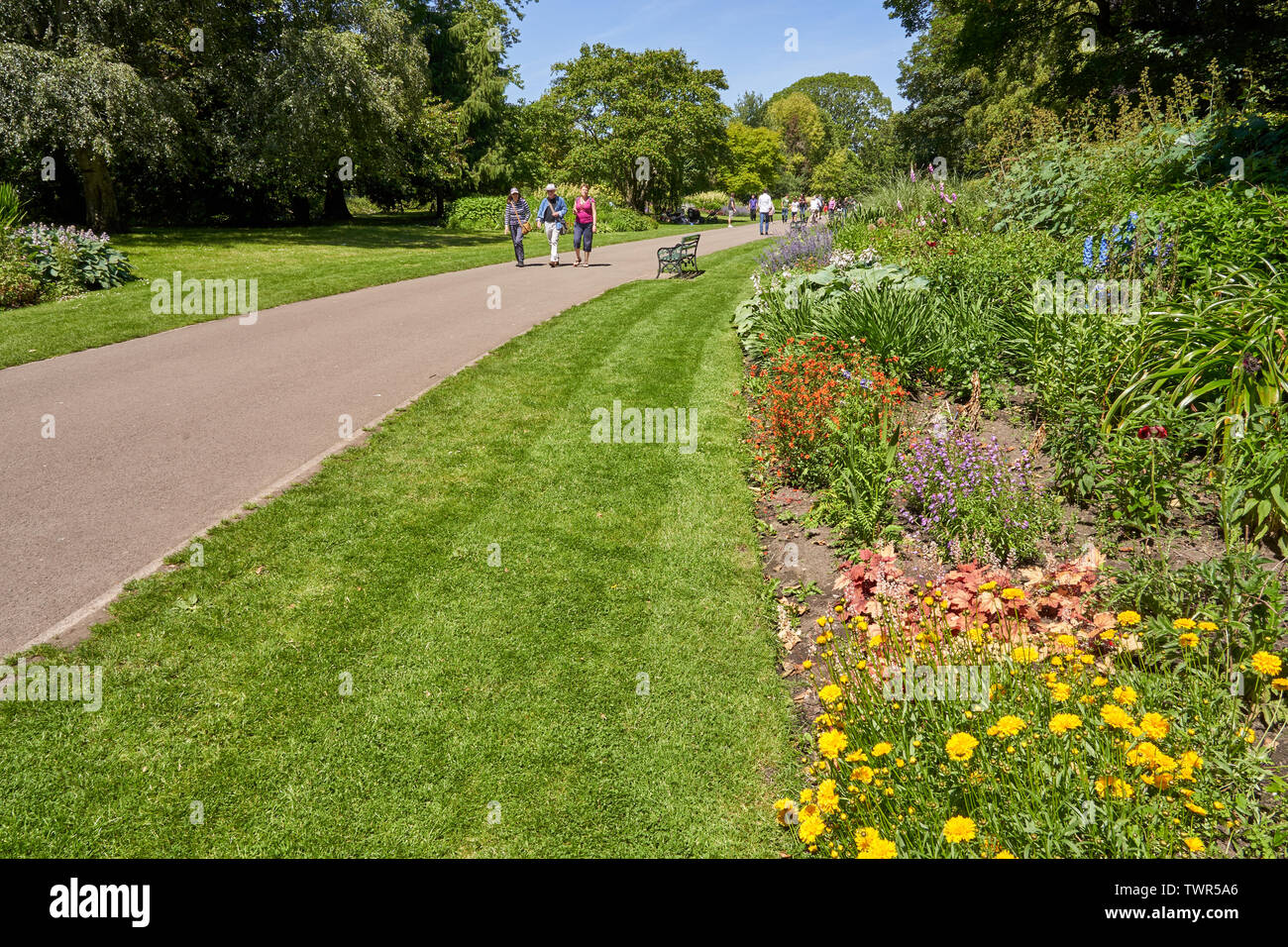 Bute Park, Cardiff, South Wales Stockfoto