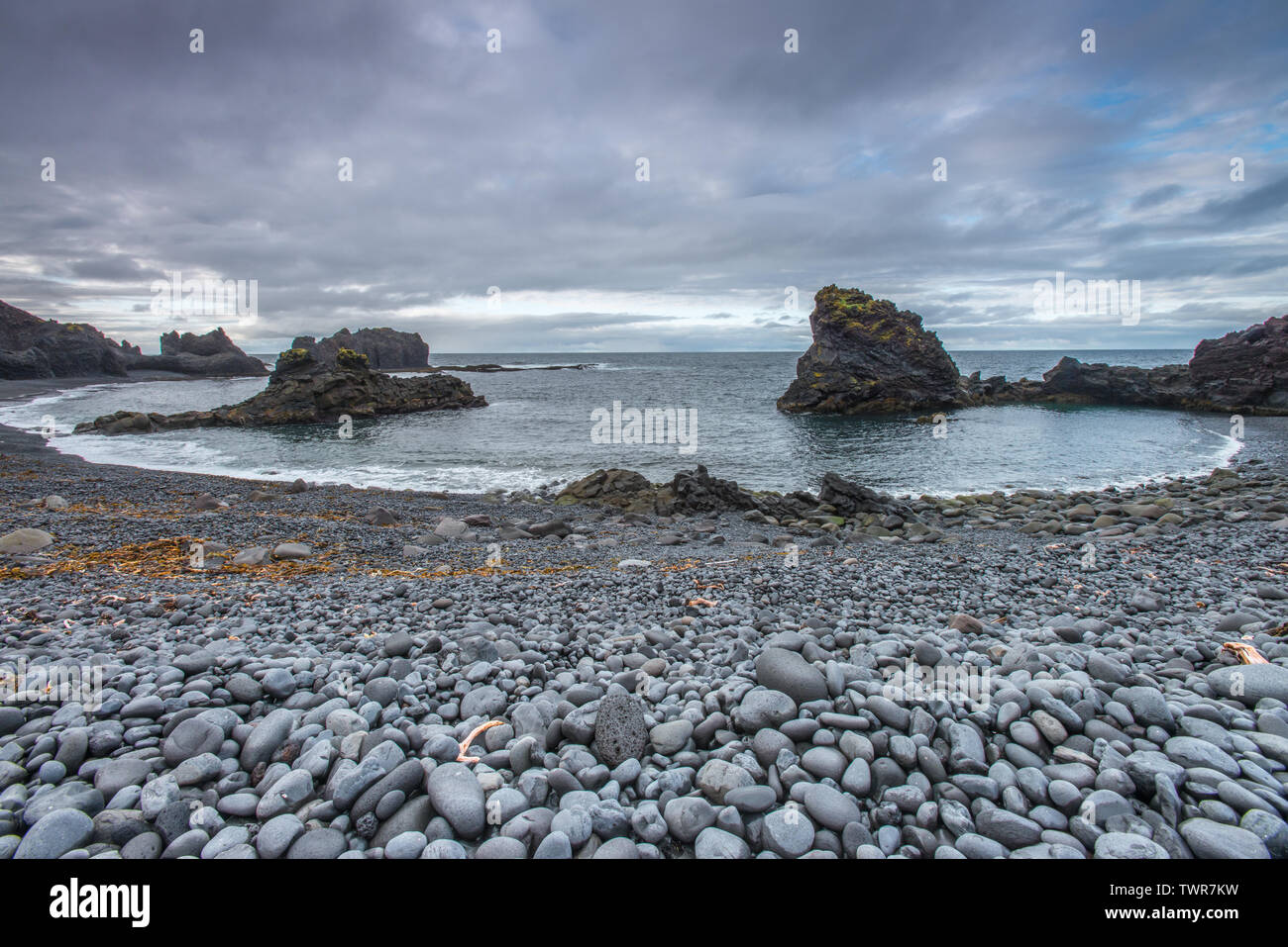 Regnerischen Tag bei Dritvik Cove, Dark Rock Beach mit kreisförmigen Küste, dunklen vulkanischen Klippen. Algen am Strand. Stockfoto