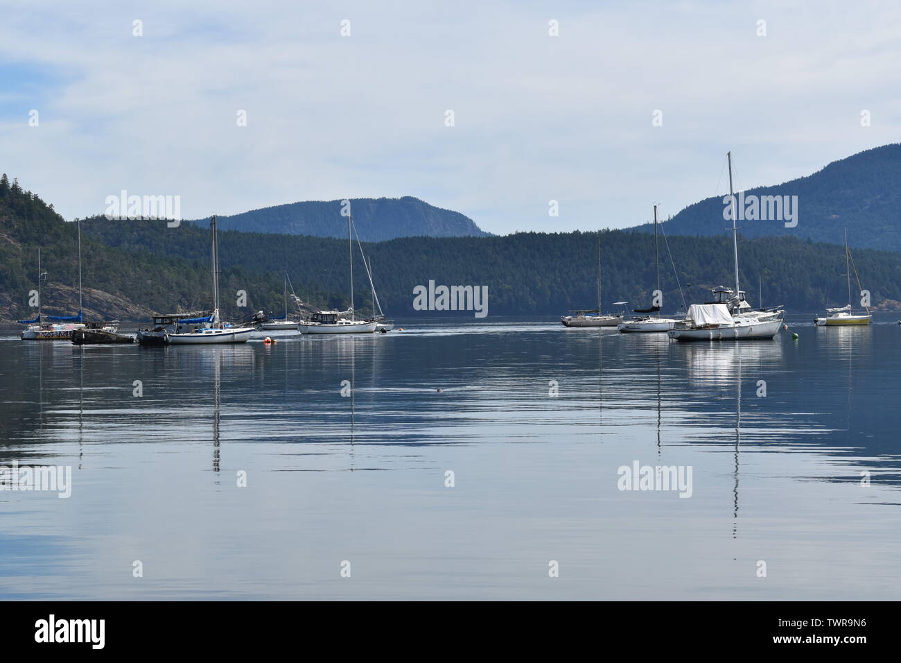 Segelboote vertäut im Hafen von Cowichan Bay, BC, Kanada Stockfoto