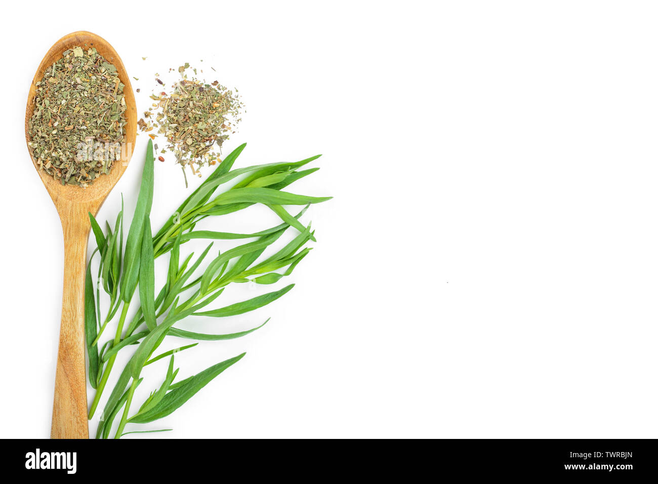 Estragon oder Estragon frisch und getrocknet auf einem weißen Hintergrund. Artemisia dracunculus. Ansicht von oben. Flach. Stockfoto