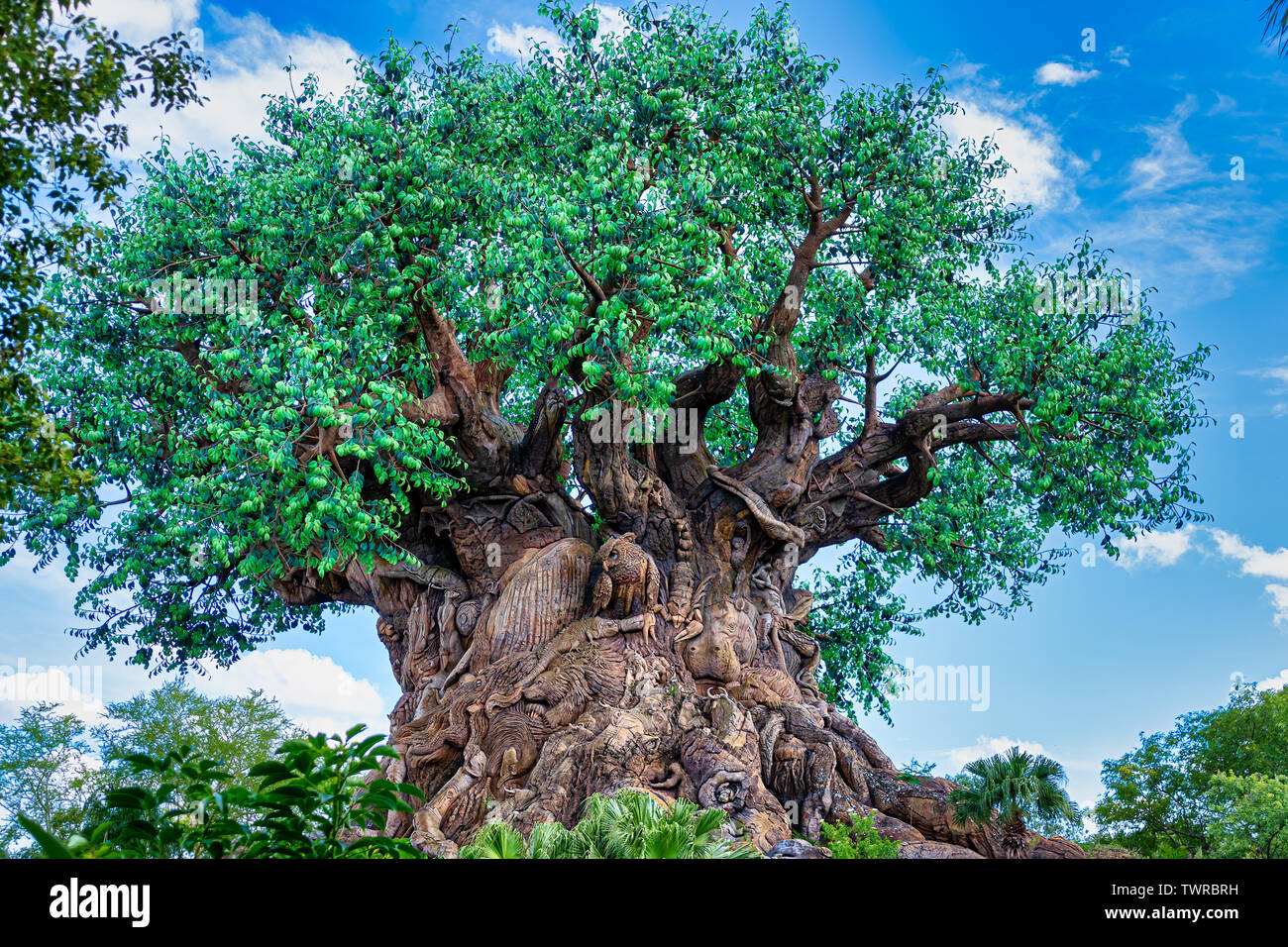 ORLANDO, Florida, USA. Mai 03, 2019: Der Baum des Lebens in Disney's Animal Kingdom Stockfoto
