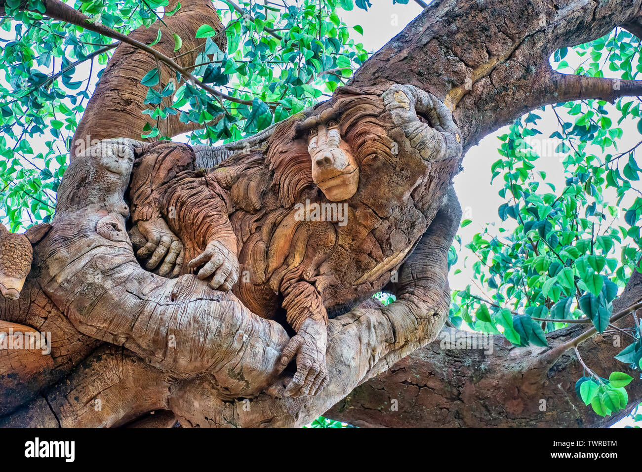 ORLANDO, Florida, USA. Mai 03, 2019: Schnitzereien an den Baum des Lebens in Disney's Animal Kingdom Stockfoto