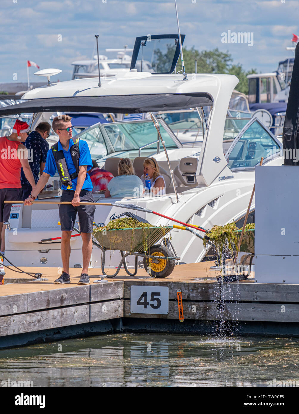 Junge männliche Arbeitnehmer genehmigt Unkraut aus dem Bootsanleger im Hafen von orillia Boot Propeller von Verschmutzung zu verhindern. Stockfoto