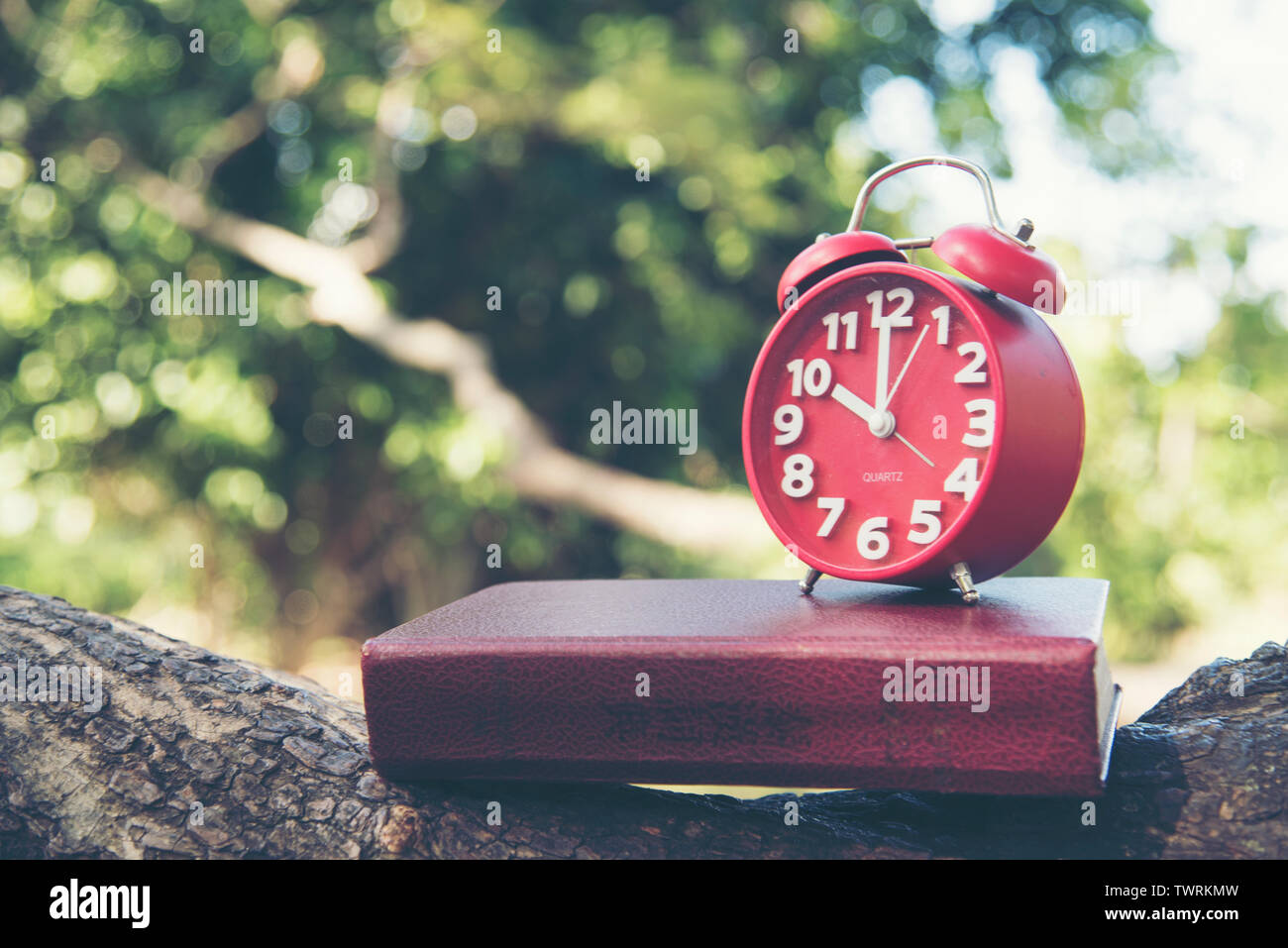 Clock. Zeitmanagement. rote Uhr und buchen Sie auf Holz Natur im Park. timeline Konzept 2017 Kalender Wand Hintergrund. Zeitplan Planung Stockfoto