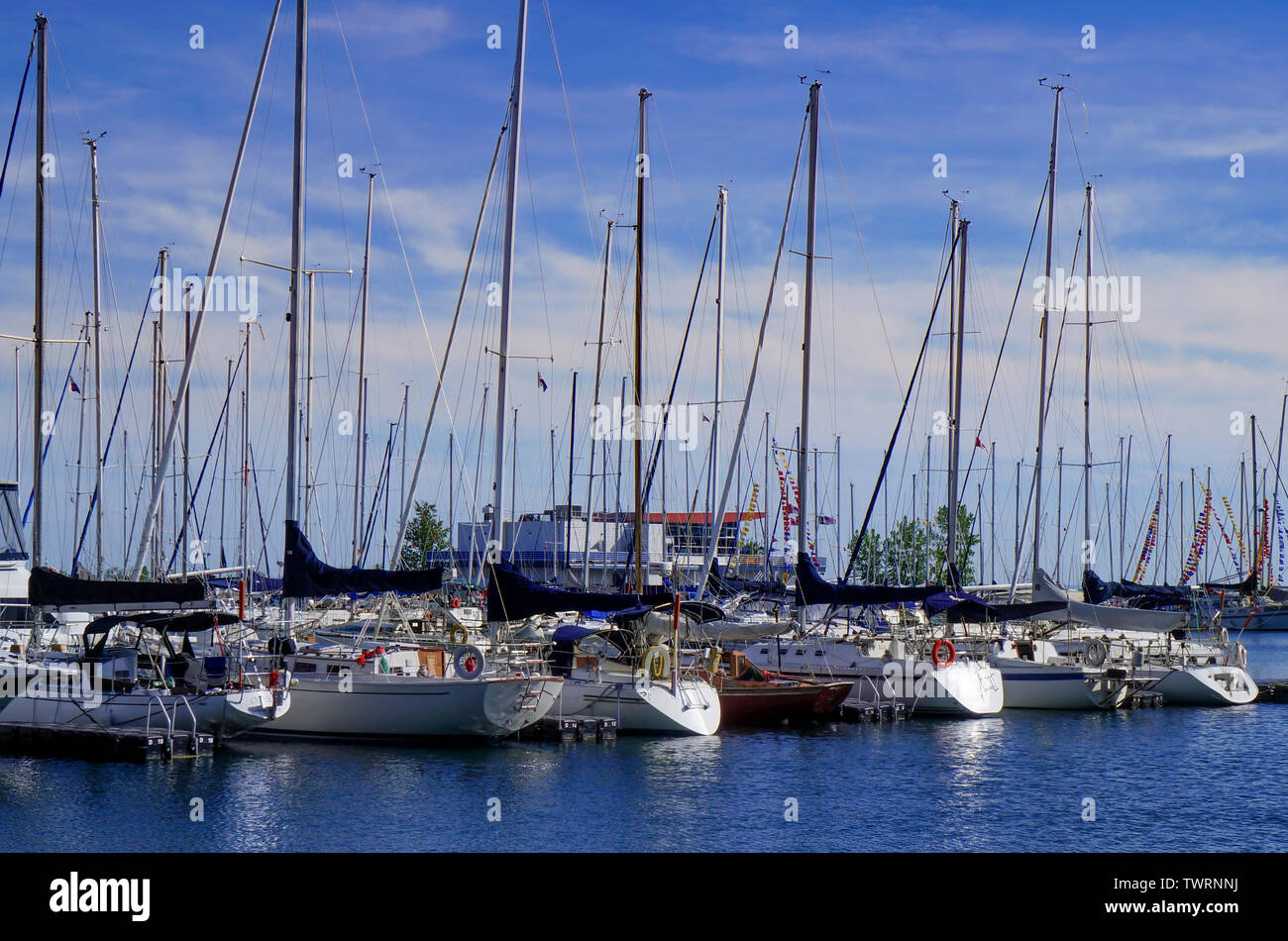 Segelyachten mit hohen Masten in einem Marine gegen den blauen Himmel mit weißen Wolken Stockfoto