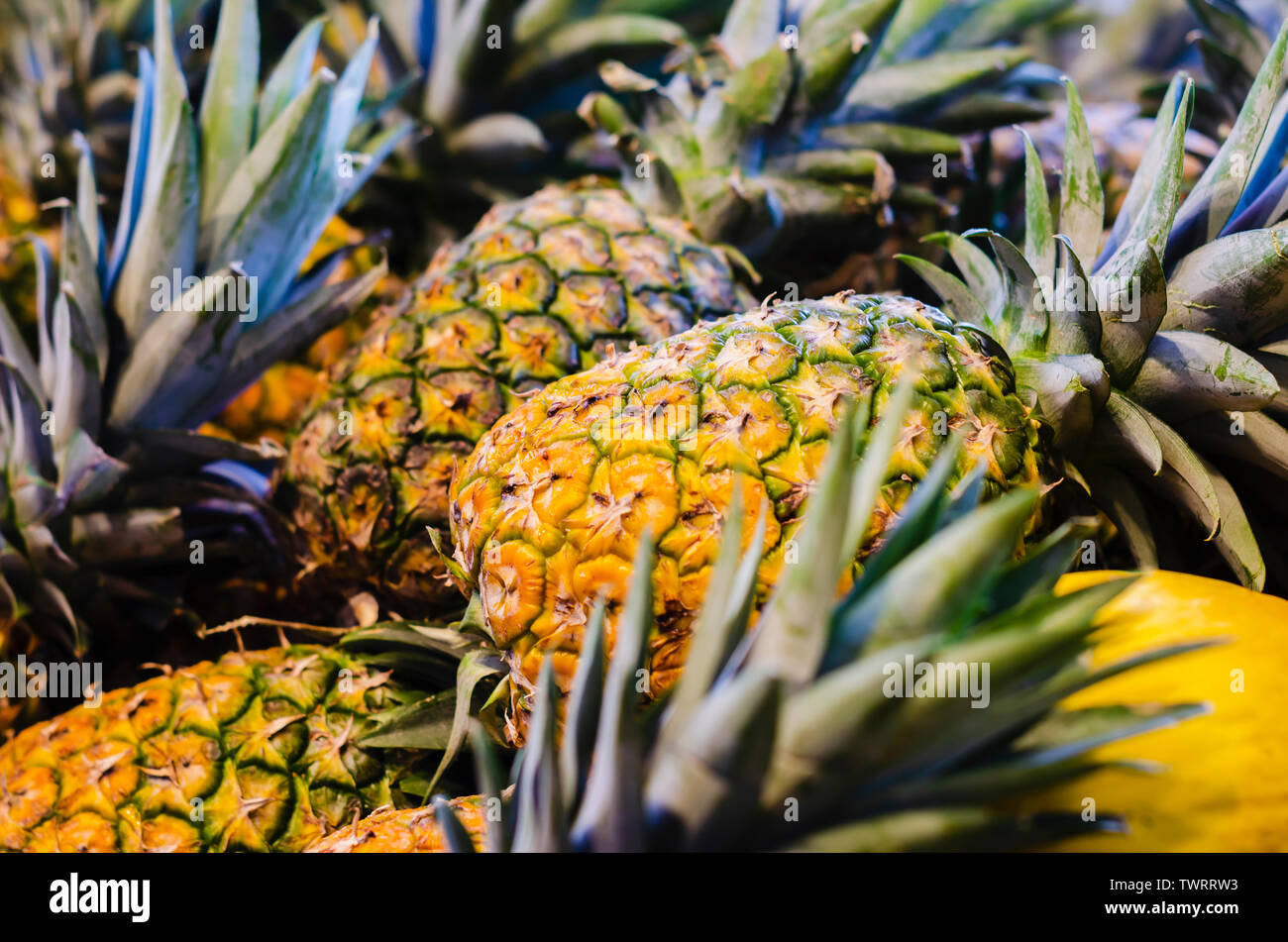 Ananas auf den Einzelverkauf im Supermarktregal mit schönen blinkt der natürlichen Beleuchtung Stockfoto