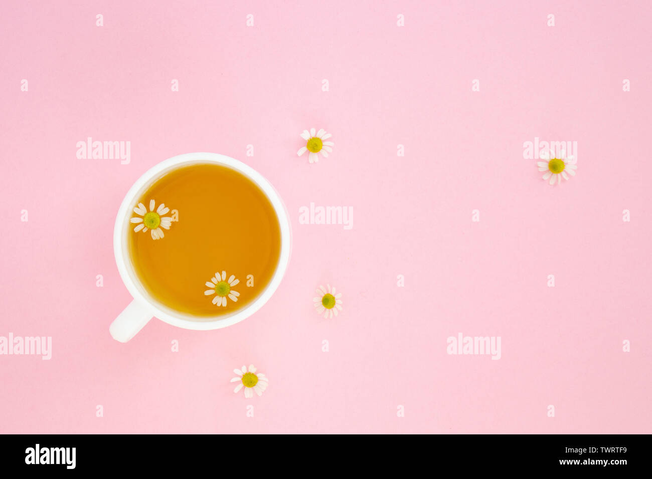 Eine weiße Tasse mit Kamillentee auf rosa Hintergrund, Ansicht von oben Stockfoto