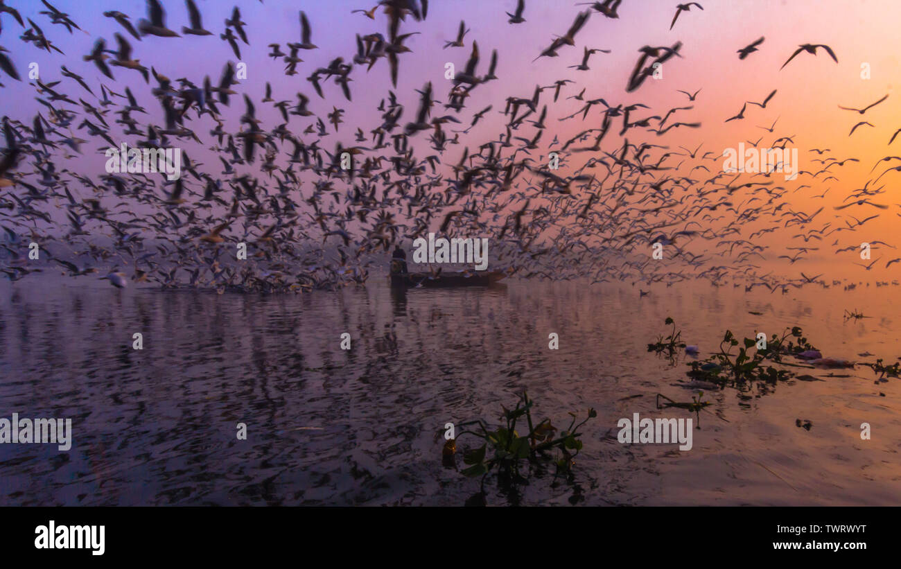 Bon Voyage Stockfoto