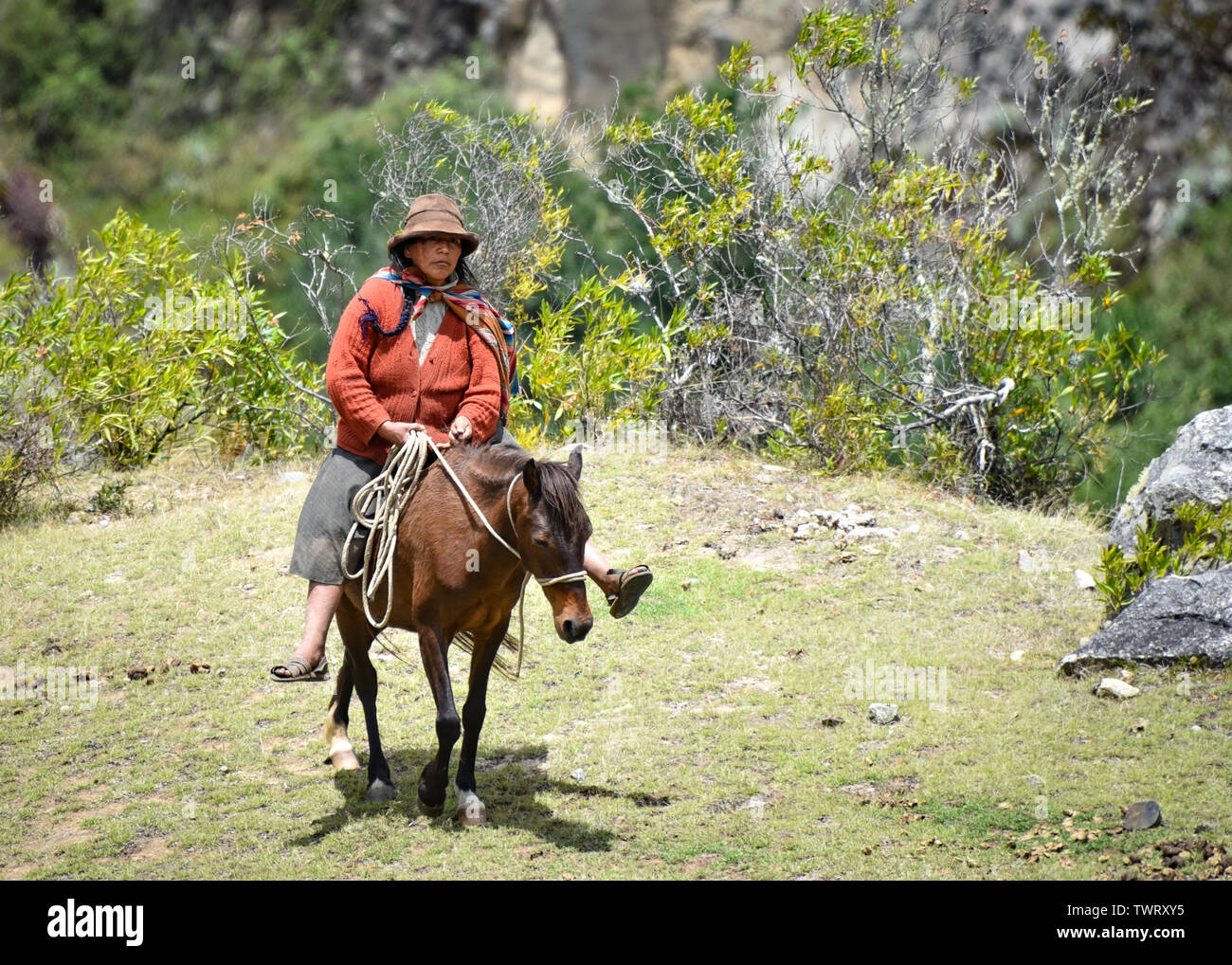 Eine Quechua lady reitet ihr Maultier auf dem Inca Trail, Cusco, Peru Stockfoto