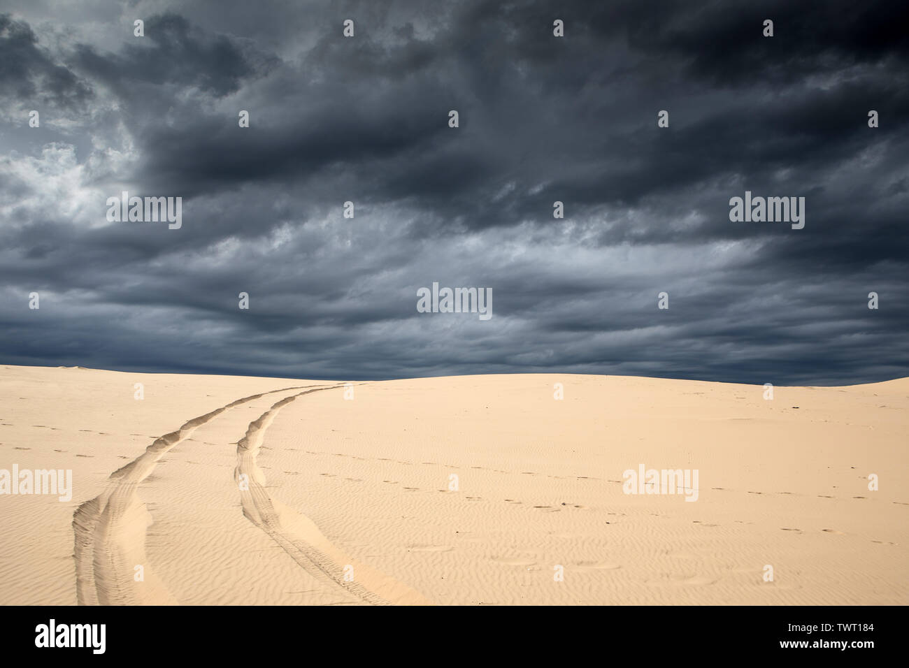 Sanddünen von Stockton Strand, NSW, Australien Stockfoto