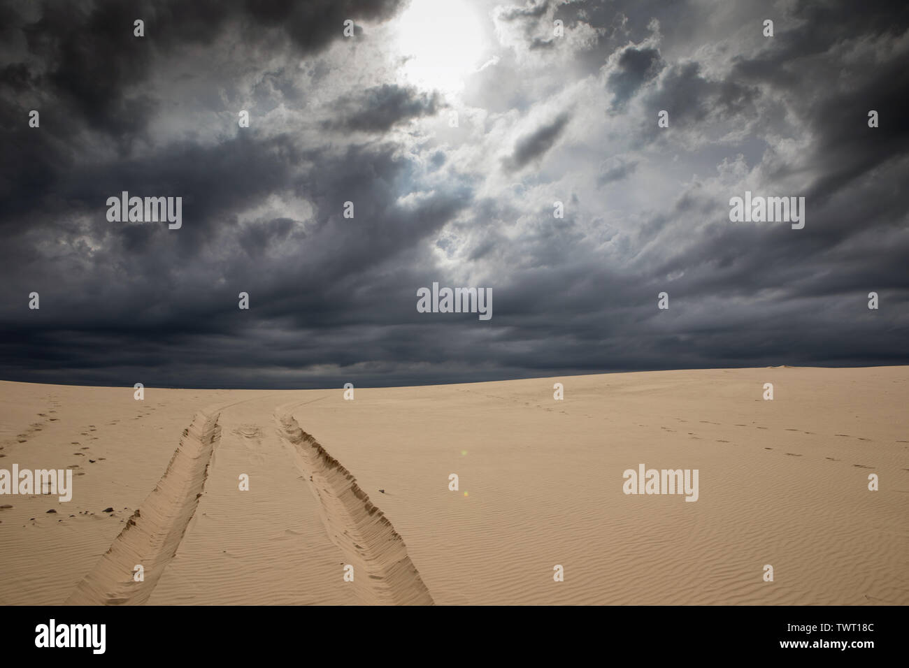 Sanddünen von Stockton Strand, NSW, Australien Stockfoto