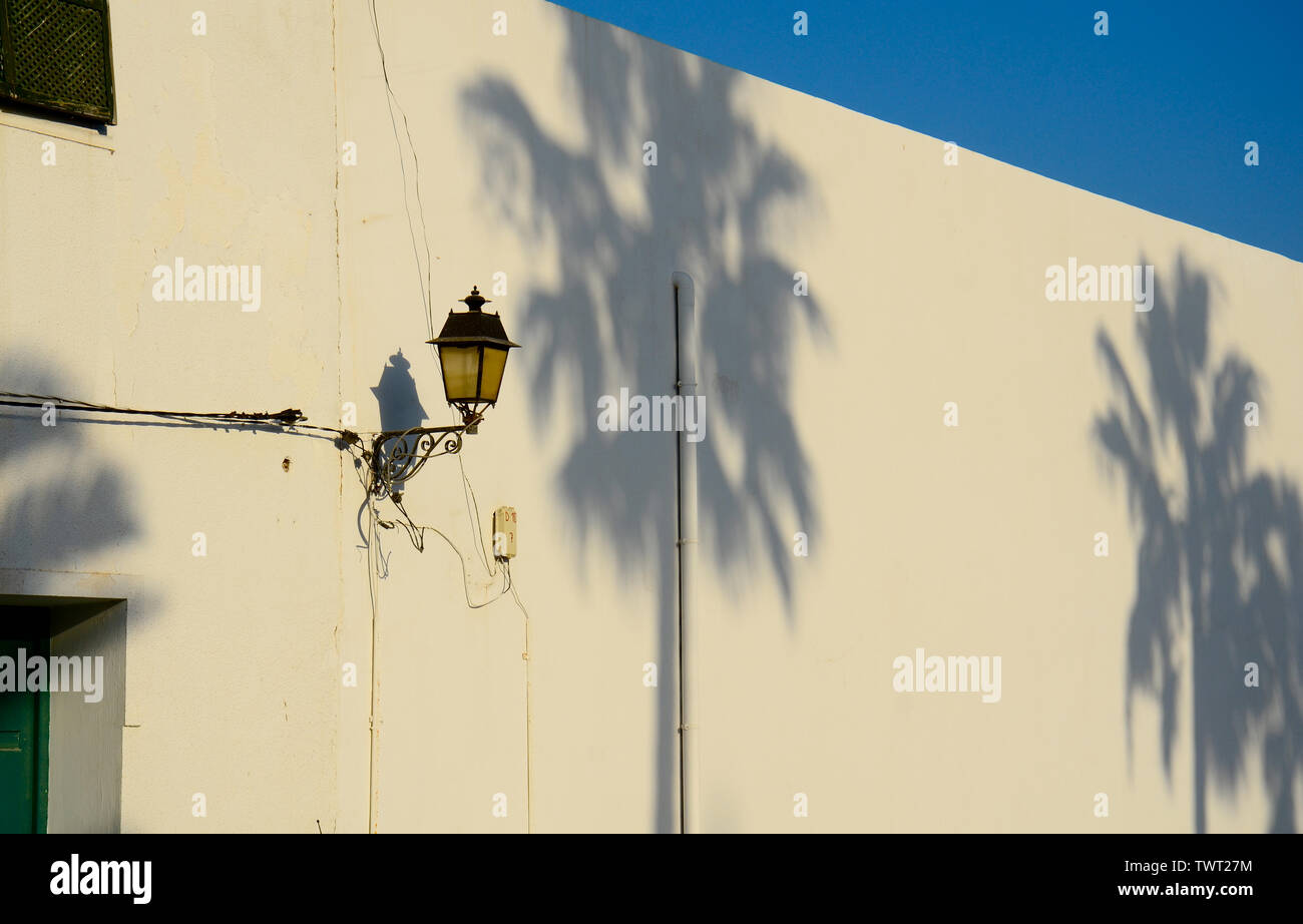 Blick auf Palmen Schatten auf traditionellen tunesischen Wand. Mahdia. Tunesien Stockfoto