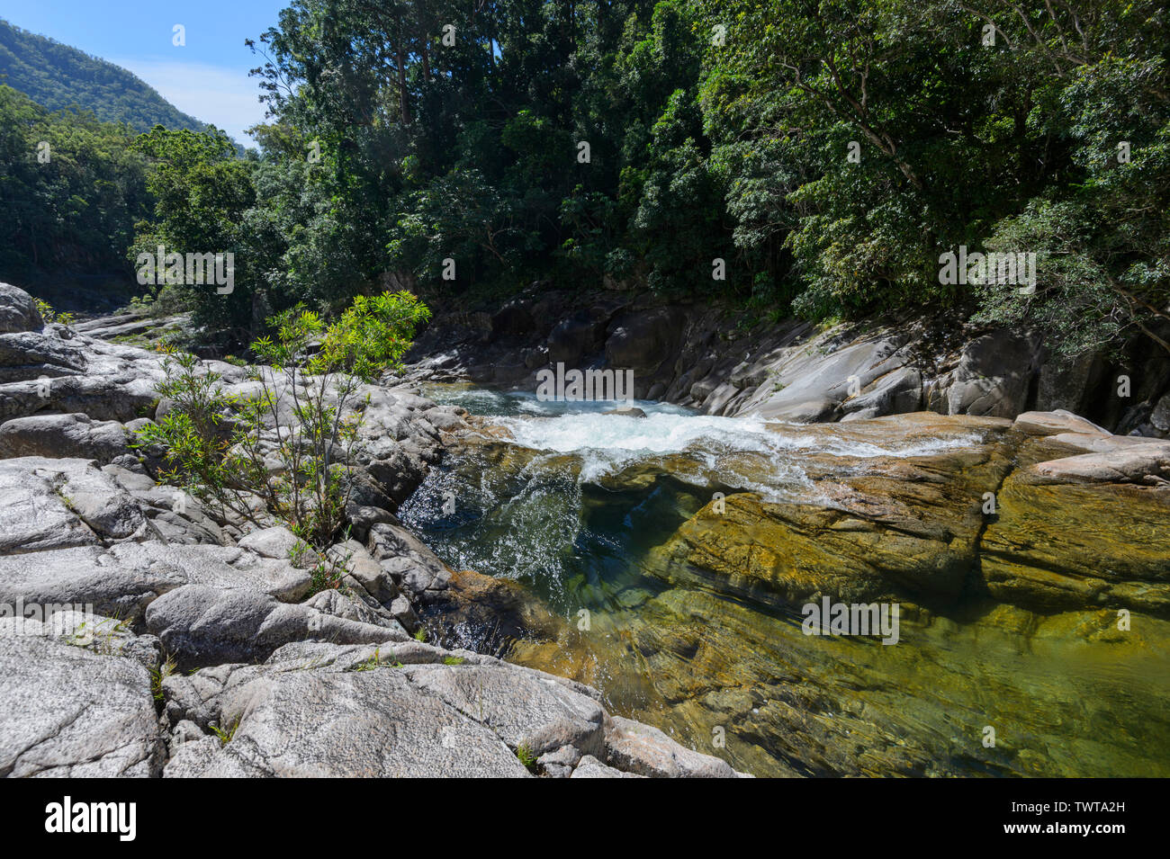 Malerischer Blick auf Behana Gorge und seiner kristallinen Wasser, Wooroonooran National Park, Aloomba, in der Nähe von Cairns, Far North Queensland, FNQ, QLD, Australien Stockfoto
