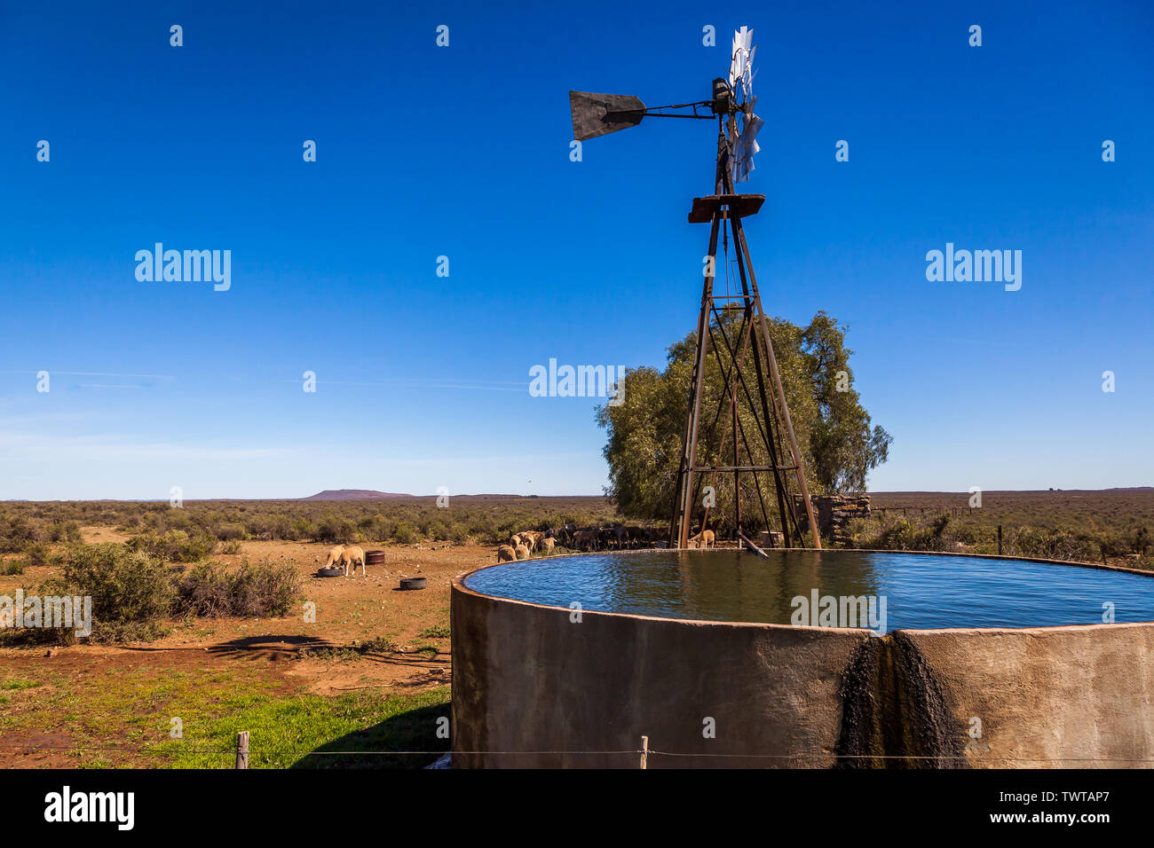 Ein Wind, Pumpe und Behälter auf einem Bauernhof in der Karoo, Südafrika. Stockfoto