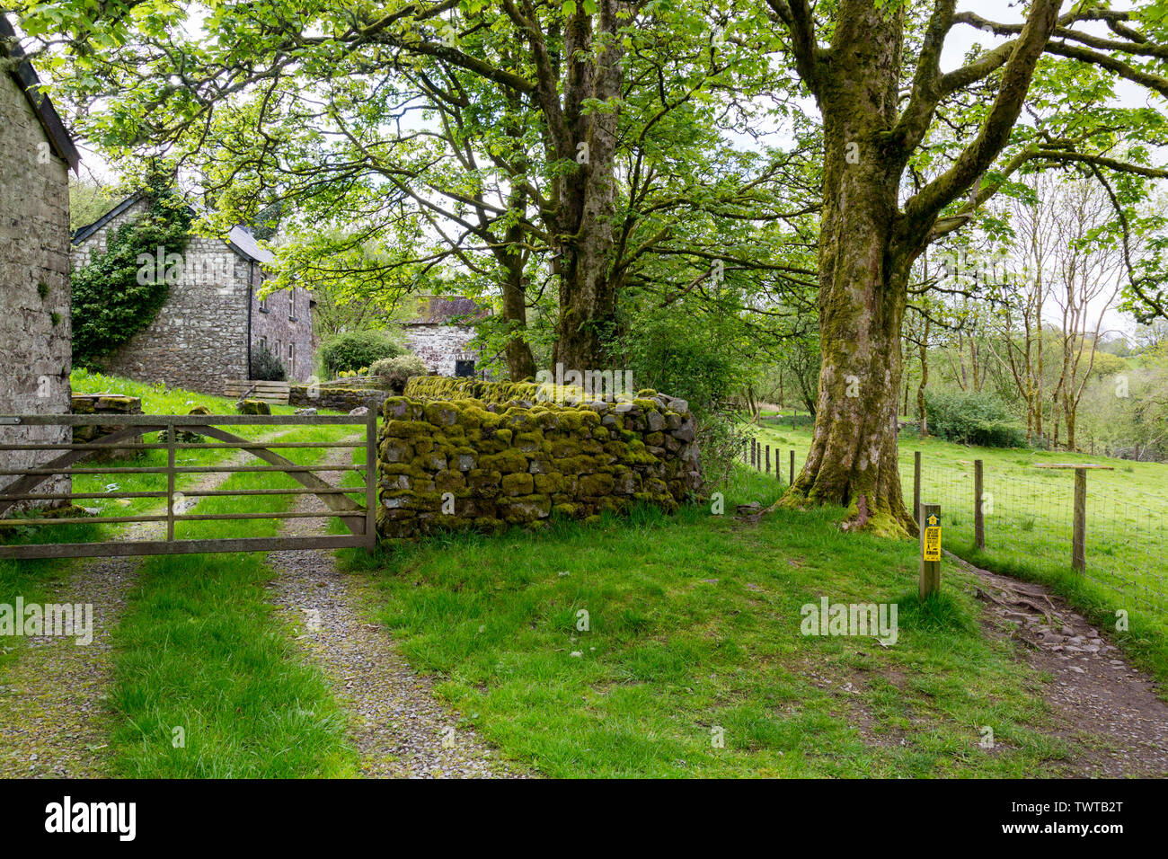 Ein isolierter Bauernhaus renoviert neben den vier Wasserfälle in den Brecon Beacons National Park, Powys, Wales, UK Spaziergang Stockfoto