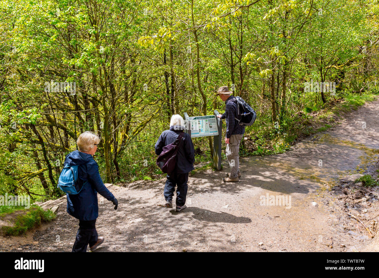 Das Information Board über Sgwd yr Eira Wasserfall an der vier Wasserfälle in den Brecon Beacons National Park, Powys, Wales, Großbritannien Stockfoto