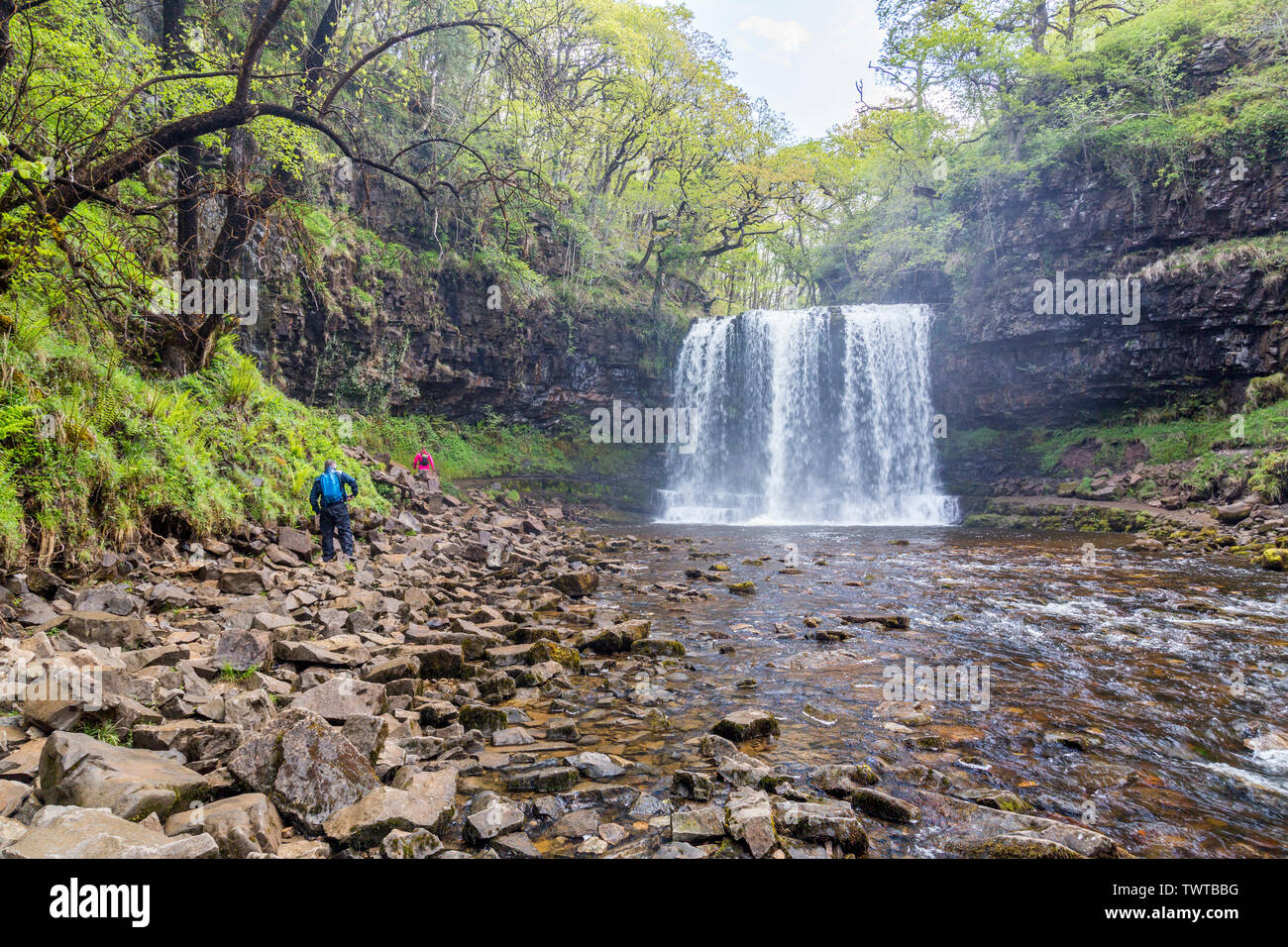 Die Afon Hepste Kaskaden über Sgwd yr Eira Wasserfall an der vier Wasserfälle in den Brecon Beacons National Park, Powys, Wales, Großbritannien Stockfoto