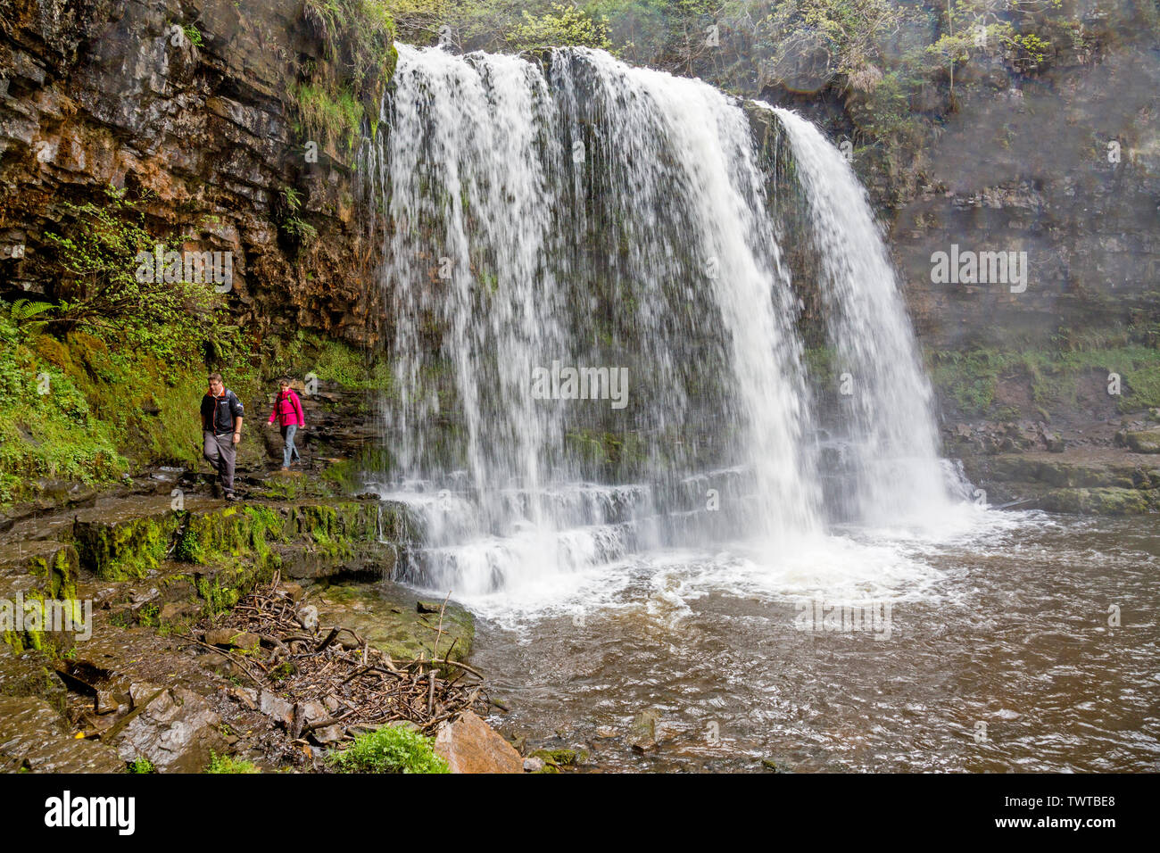 Zu bestimmten Zeiten kann es möglich sein, hinter Sgwd yr Eira Wasserfall auf die Wasserfälle zu gehen zu Fuß in die Brecon Beacons National Park, Powys, Wales, Großbritannien Stockfoto