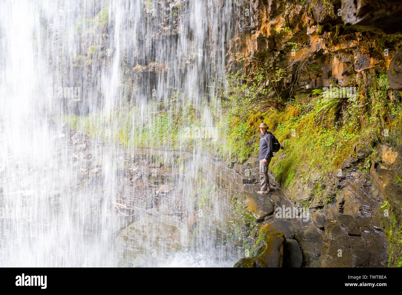 Zu bestimmten Zeiten ist es möglich, hinter Sgwd yr Eira Wasserfall auf die Wasserfälle zu gehen zu Fuß in die Brecon Beacons National Park, Powys, Wales, Großbritannien Stockfoto