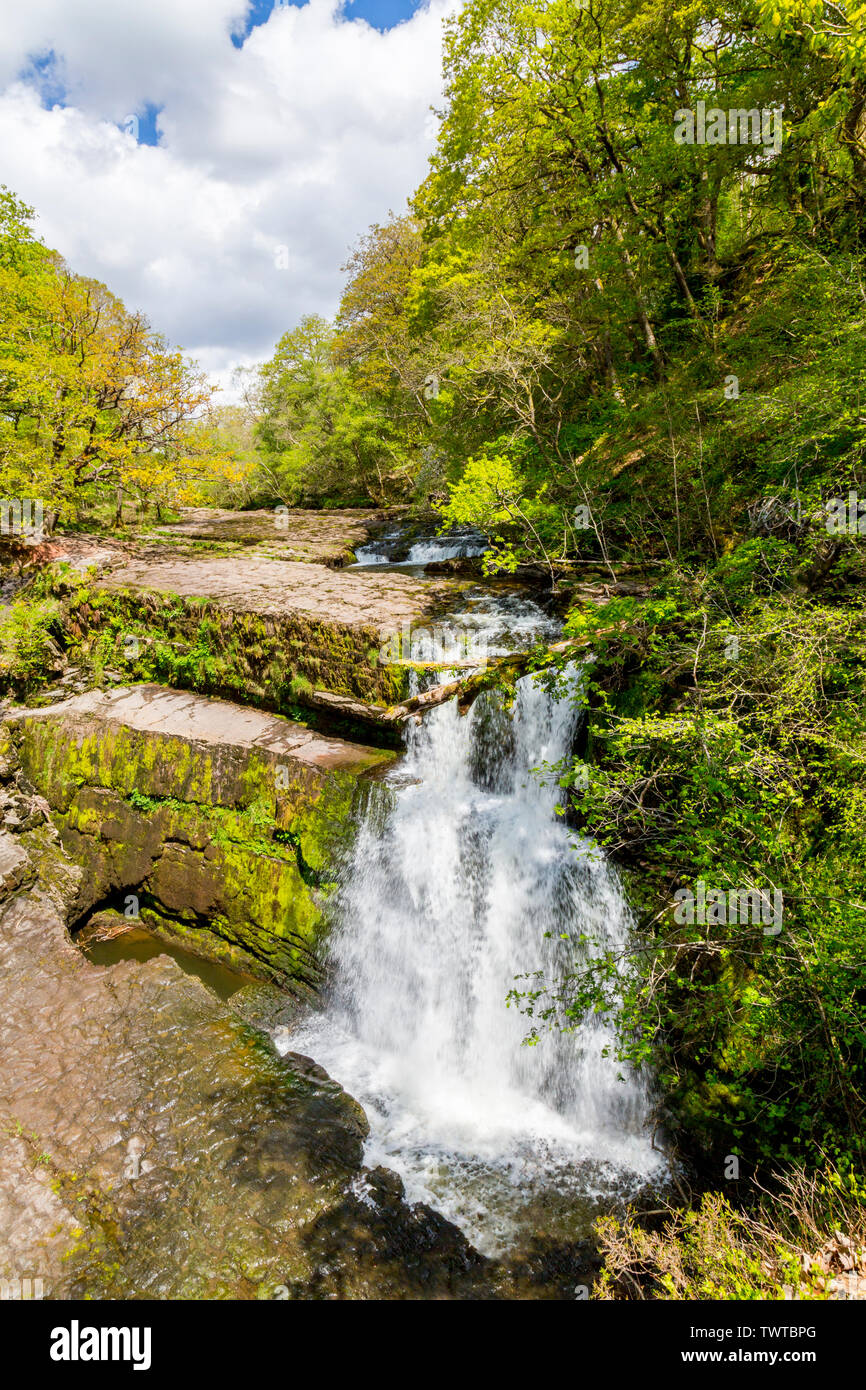 Die Afon Mellte Kaskaden über Sgwd Clun - gwyn Wasserfall an der vier Wasserfälle in den Brecon Beacons National Park, Powys, Wales, UK Spaziergang Stockfoto
