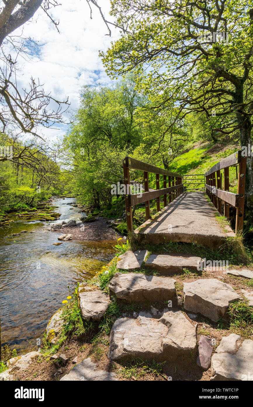 Fußgängerbrücke über die Afon Mellte auf der vier Wasserfälle in den Brecon Beacons National Park, Powys, Wales, Großbritannien Stockfoto