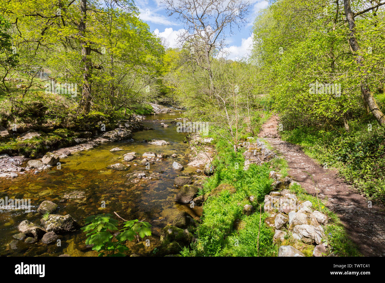 Die Afon Mellte fließt durch uralte Wälder und steilen Schluchten auf der vier Wasserfälle in den Brecon Beacons National Park, Powys, Wales, Großbritannien Stockfoto