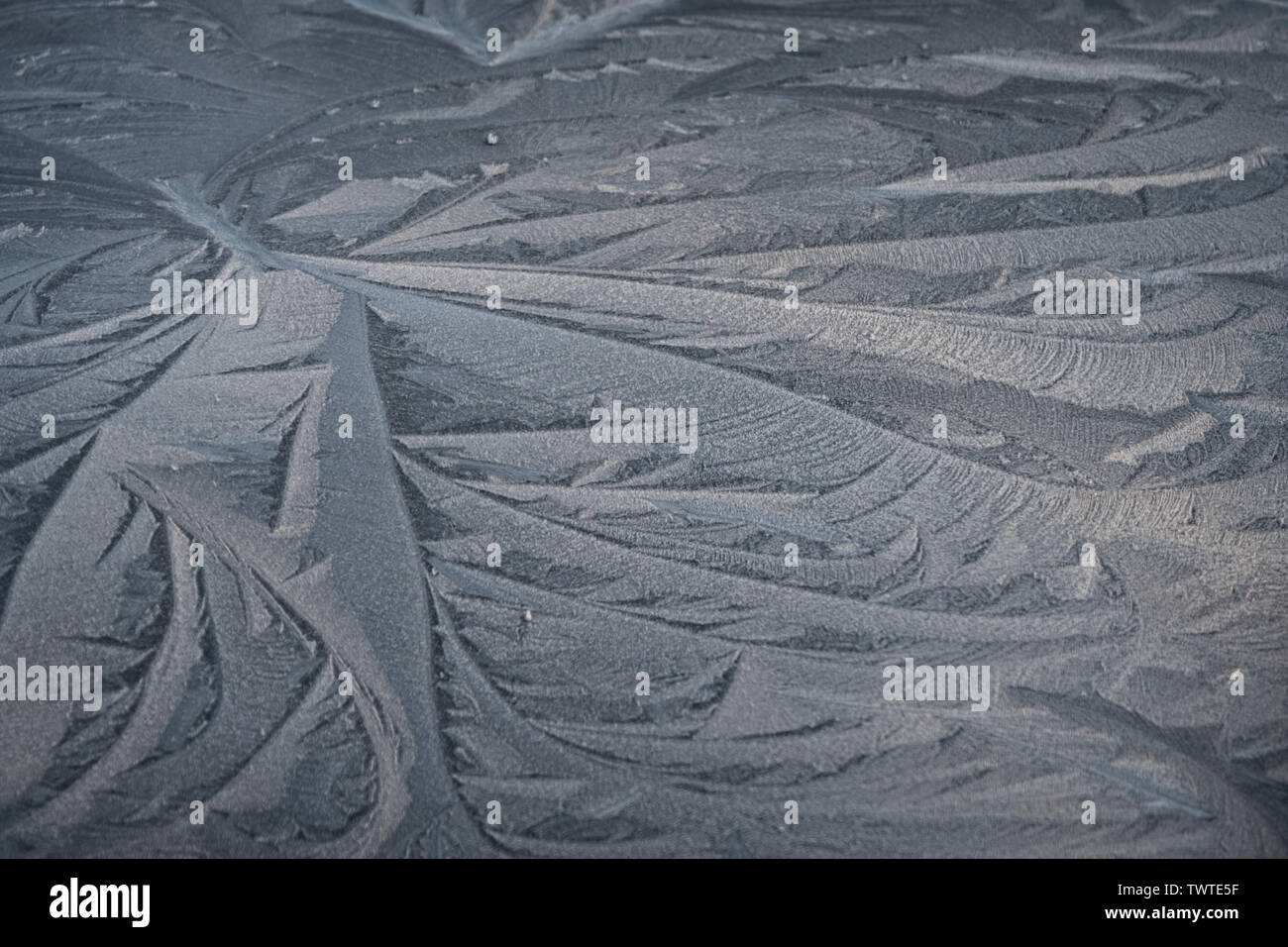 Wirbelnden Muster durch Wind in Frost auf dem Auto Dach gemacht. Stockfoto