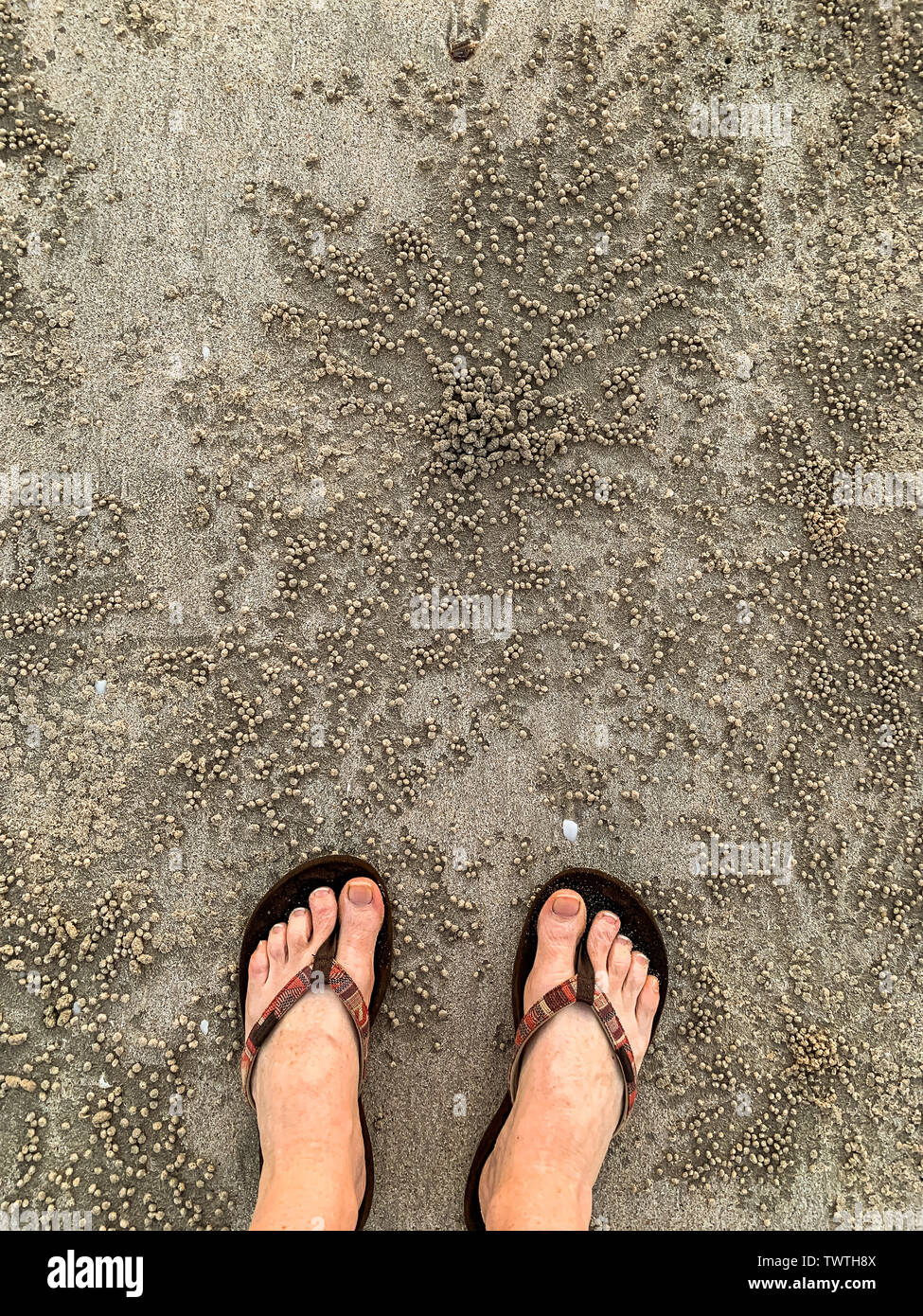 Füße in den Zapfen auf Sand Bubbler Crab Pellets am Cable Beach Broome Stockfoto