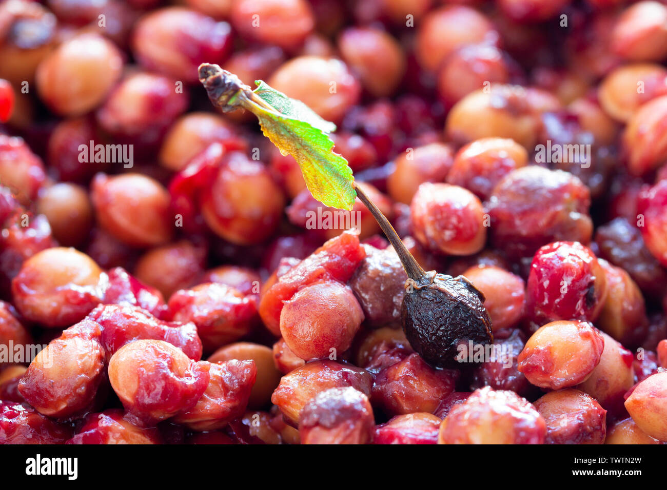 Hintergrund von einem Haufen von Sauerkirsche Gruben Stockfoto