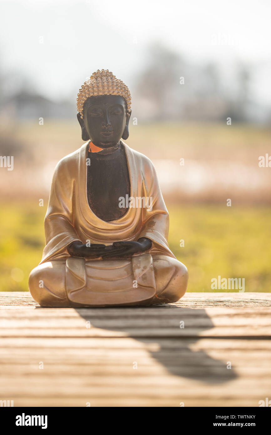 Buddha Statue in einem indischen Tempel, Sommer Zeit. Text Raum. Stockfoto