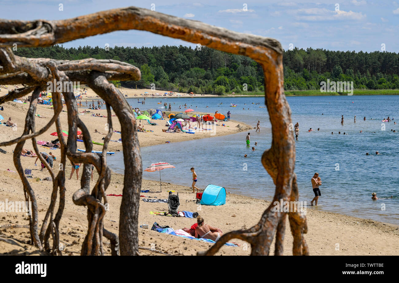 23. Juni 2019, Brandenburg, Frankfurt (Oder): Freiliegende Wurzeln von Kiefern in den Sand steigen, während hinter ihnen die Badegäste am Strand und im Wasser des Sees Helena gesehen werden kann. Foto: Patrick Pleul/dpa-Zentralbild/dpa Stockfoto