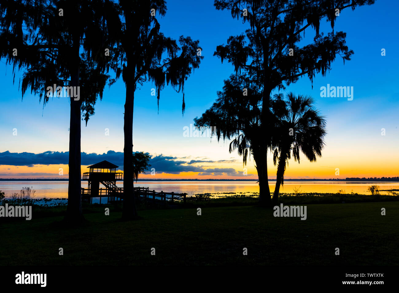 Vor Sonnenaufgang über dem See Pierce in Lake Wales Polk County Florida in den Vereinigten Staaten Stockfoto