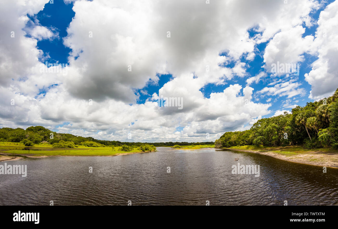 Myakka Fluss von der Brücke in der Myakka River State Park in Sarasota Florida in den Vereinigten Staaten Stockfoto