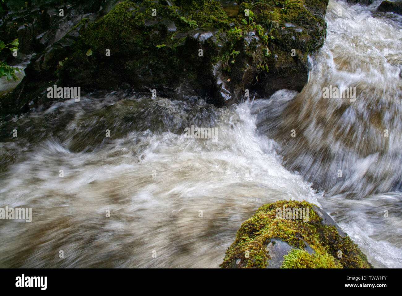 River Nith Stockfoto