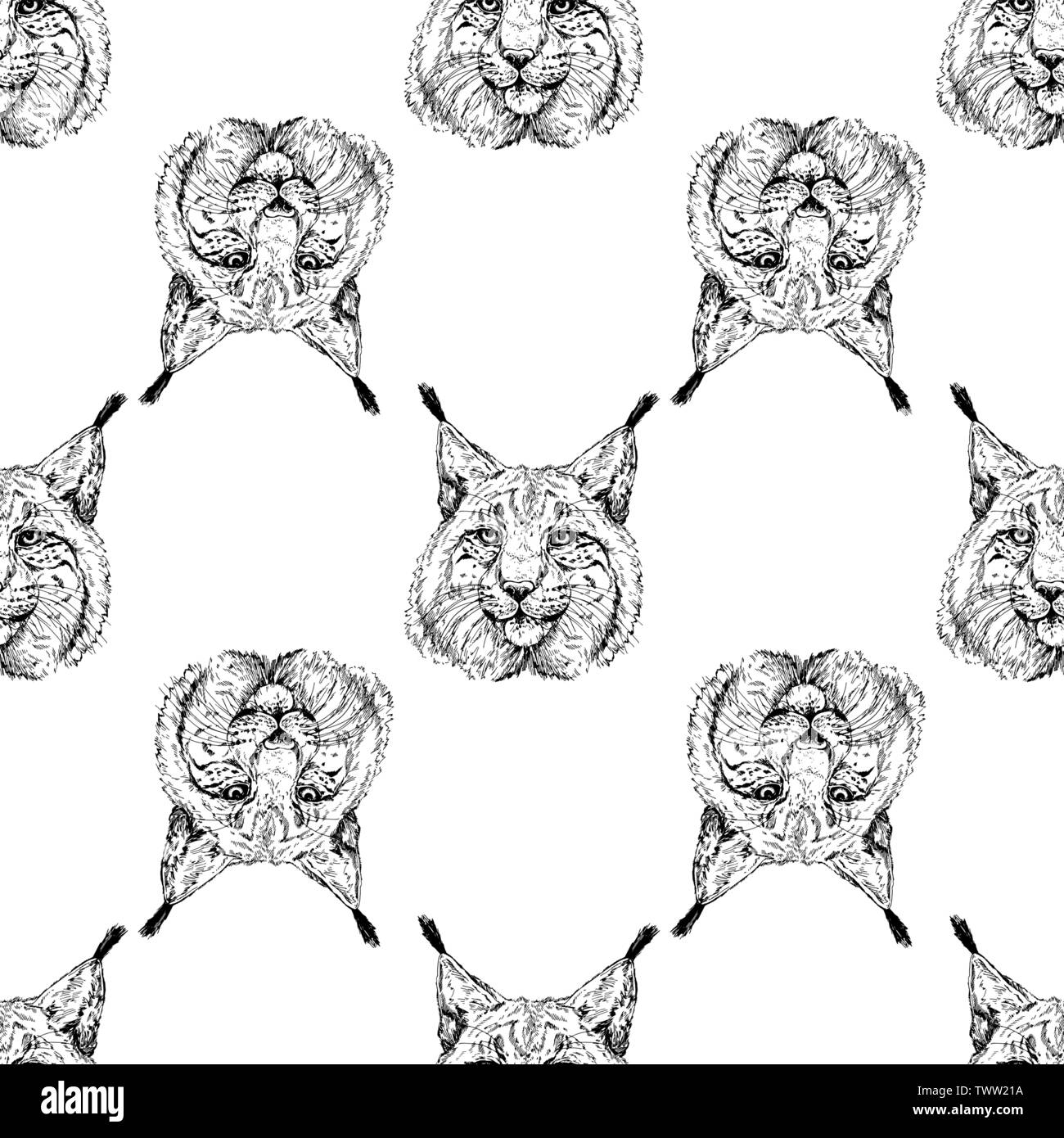 Nahtlose Muster von Hand gezeichnete Skizze Porträts von Lynx auf weißem Hintergrund. Vector Illustration. Stock Vektor
