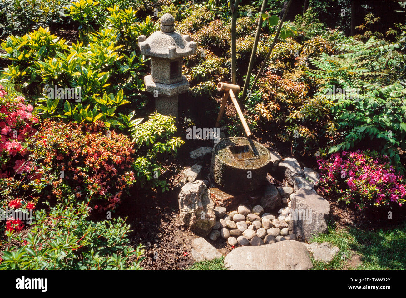 Japanischer Garten Bambus Wasserspiel Stockfoto