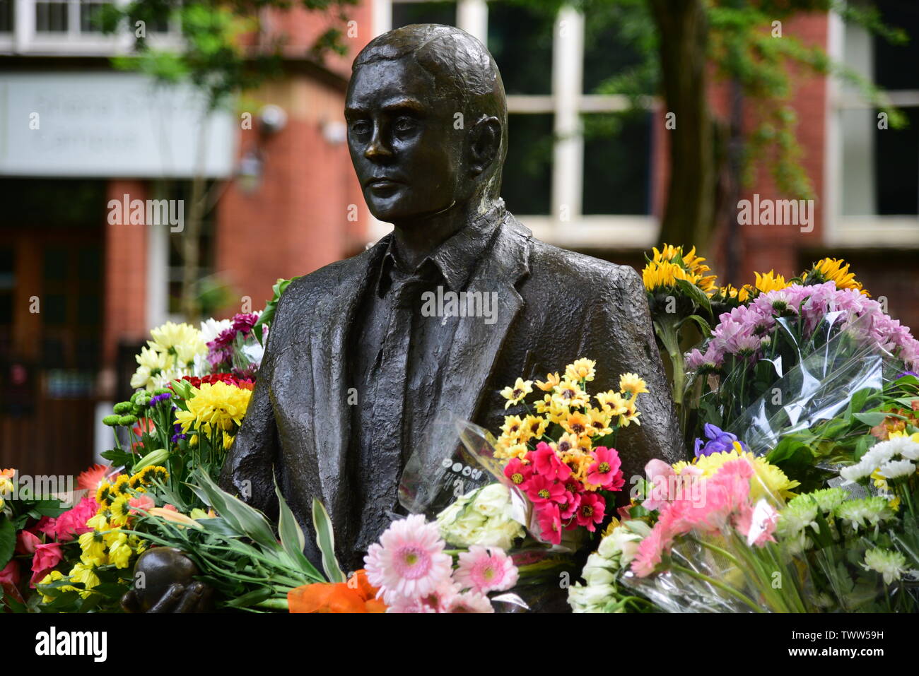 Alan Turing Statue mit Blumen Stockfoto
