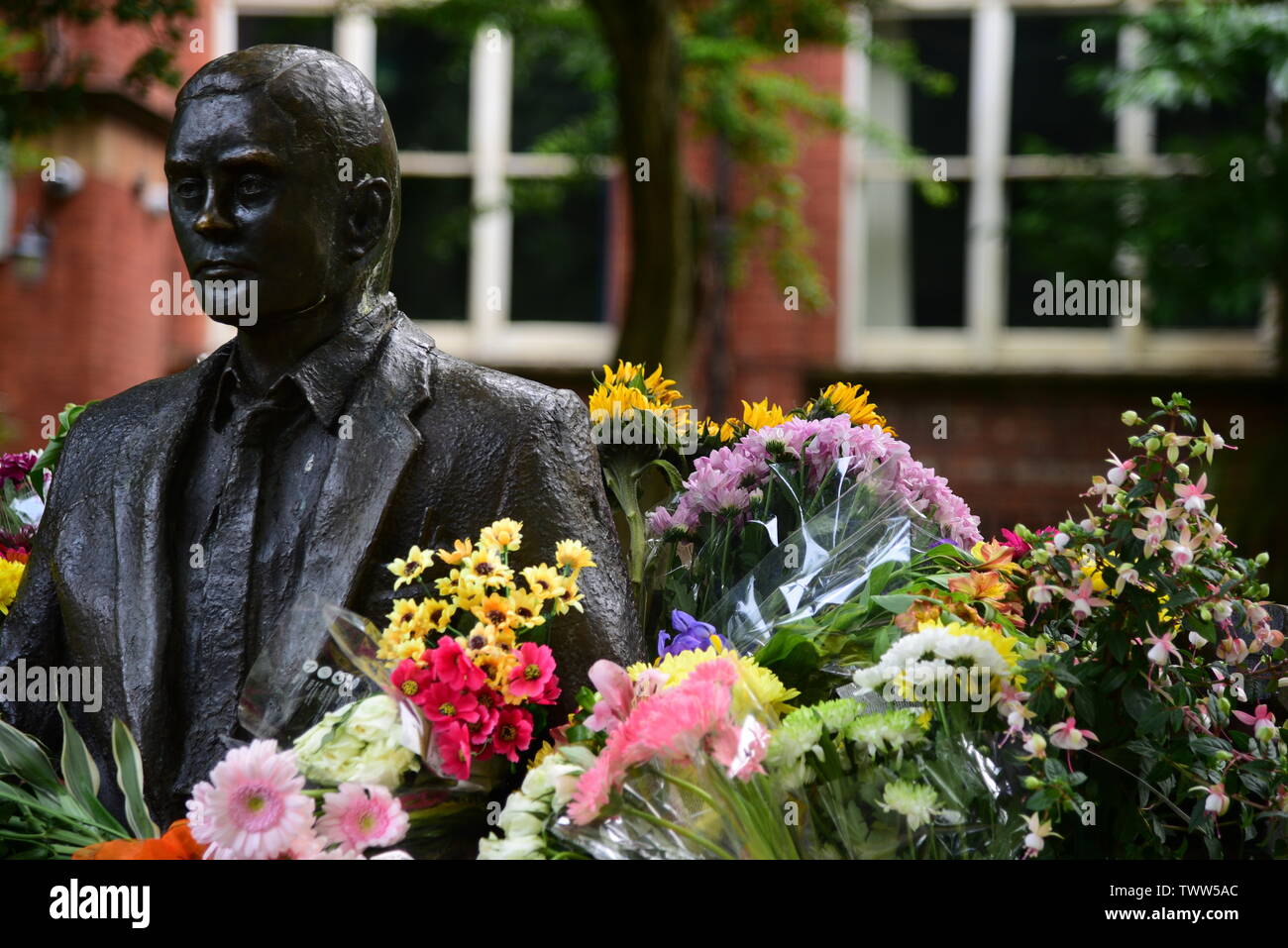 Alan Turing Statue mit Blumen Stockfoto
