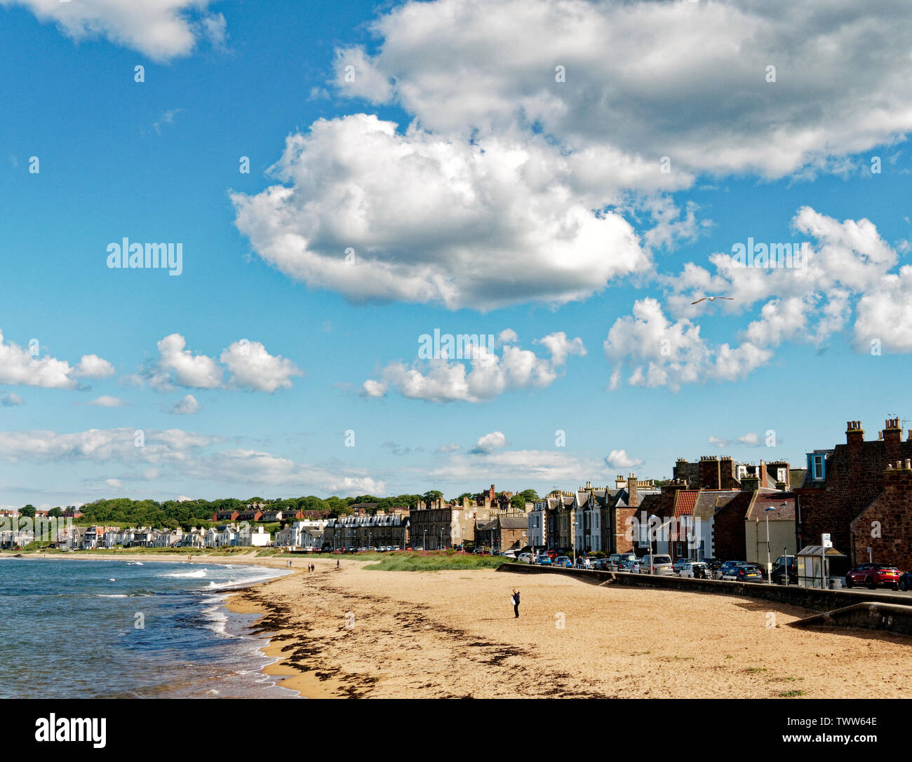 Weite Einstellung auf Milsey Bay Beach, liegt im Osten von North Berwick, East Lothian, Schottland, Vereinigtes Königreich. Stockfoto