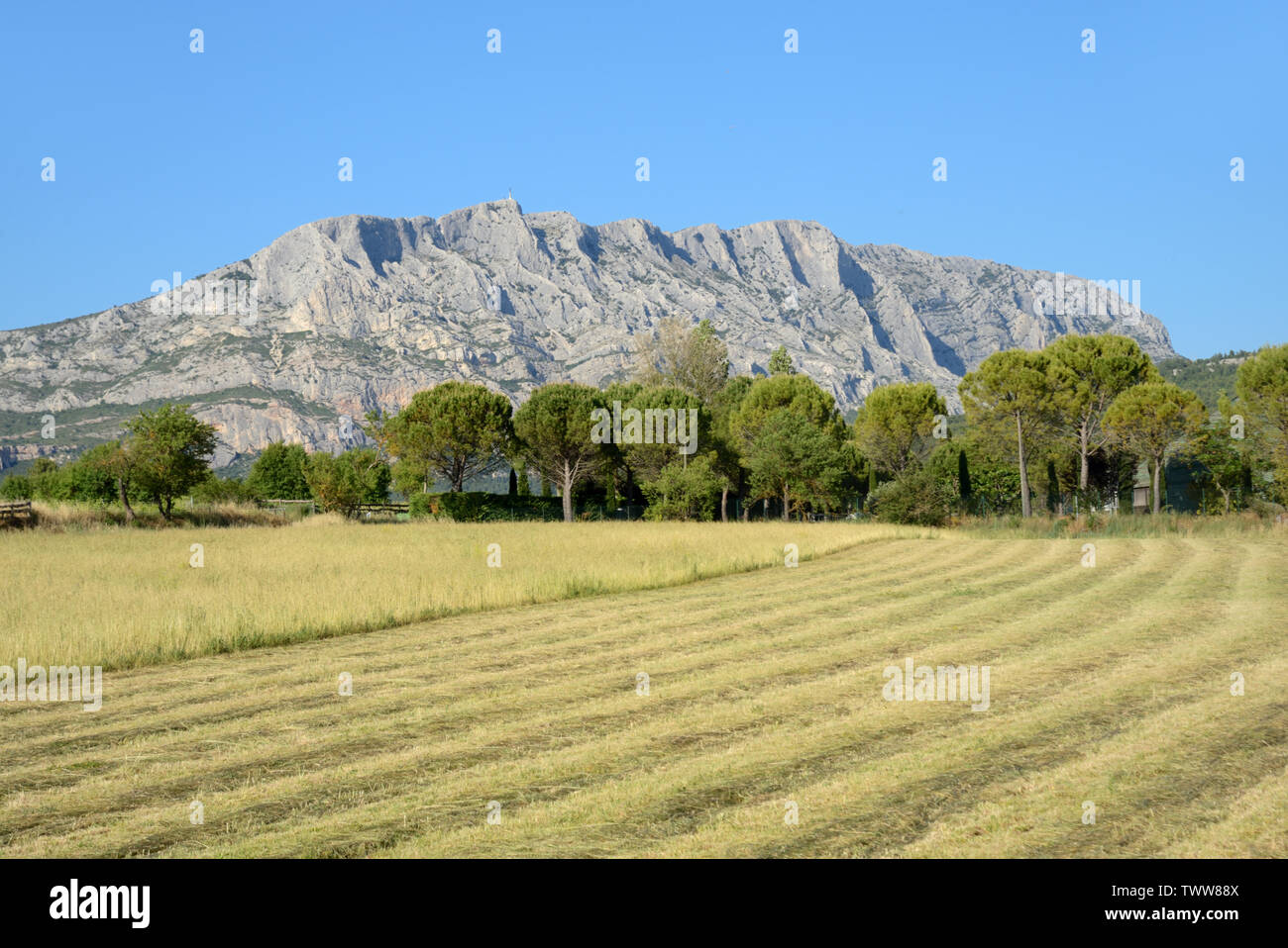 Vor kurzem Schnitt oder geerntetes Heu Feld und Mont oder Montagne Sainte-Victoire Berg in der Nähe von Aix-en-Provence Provence Frankreich Stockfoto