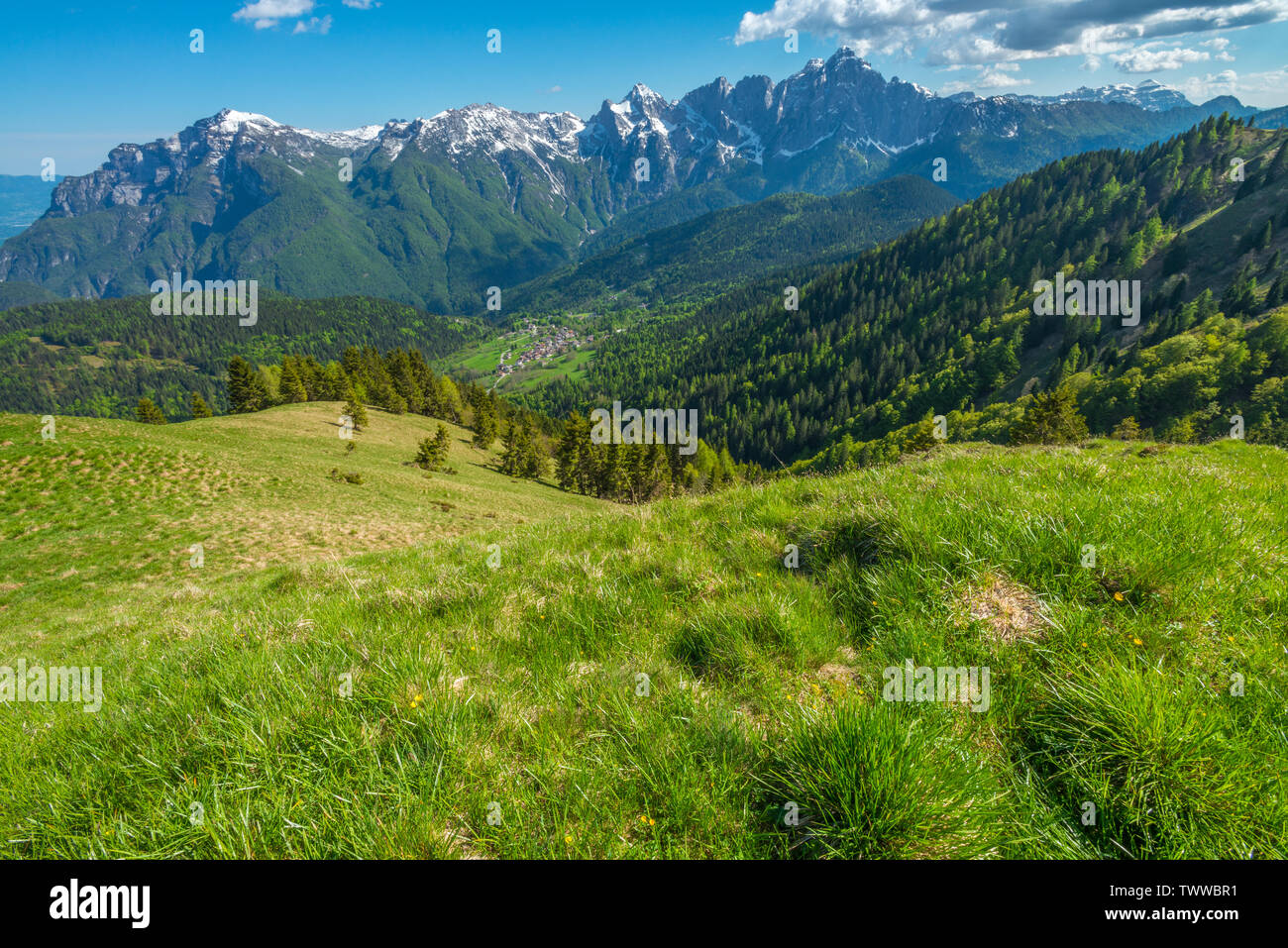 Blick auf die Berge Stadt unten im Tal von einem grünen Almwiese. Üppig bewachsenen Berghang in den italienischen Alpen im Juni. Stockfoto