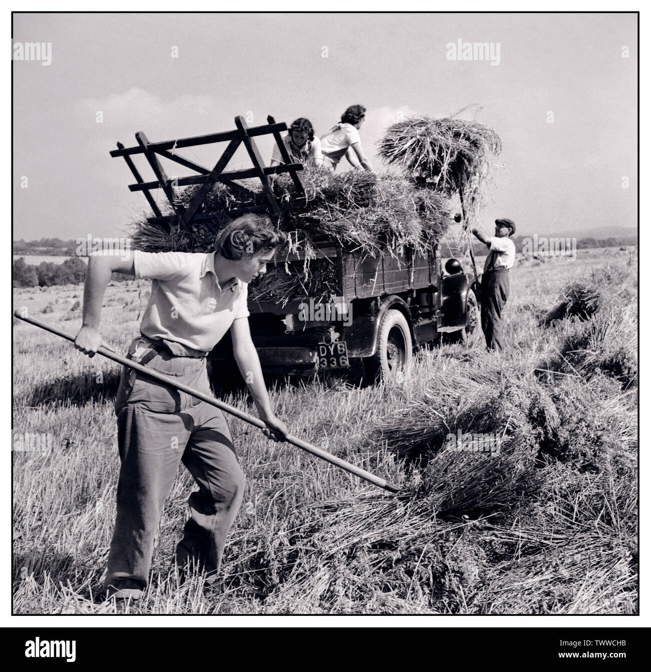 WW2 FRAUEN LAND ARMY UK Food Production Harvesting at Mount Barton, Devon, England, 1940s Land Girls helfen einem Landwirt, geernteten Hafer in den Sonnenschein von Hollow Moor, Devon, in einen Lastwagen zu laden.1942 Woman's Land Army. Die WLA arbeitete während des Zweiten Weltkriegs an der Versorgung mit Lebensmitteln Stockfoto