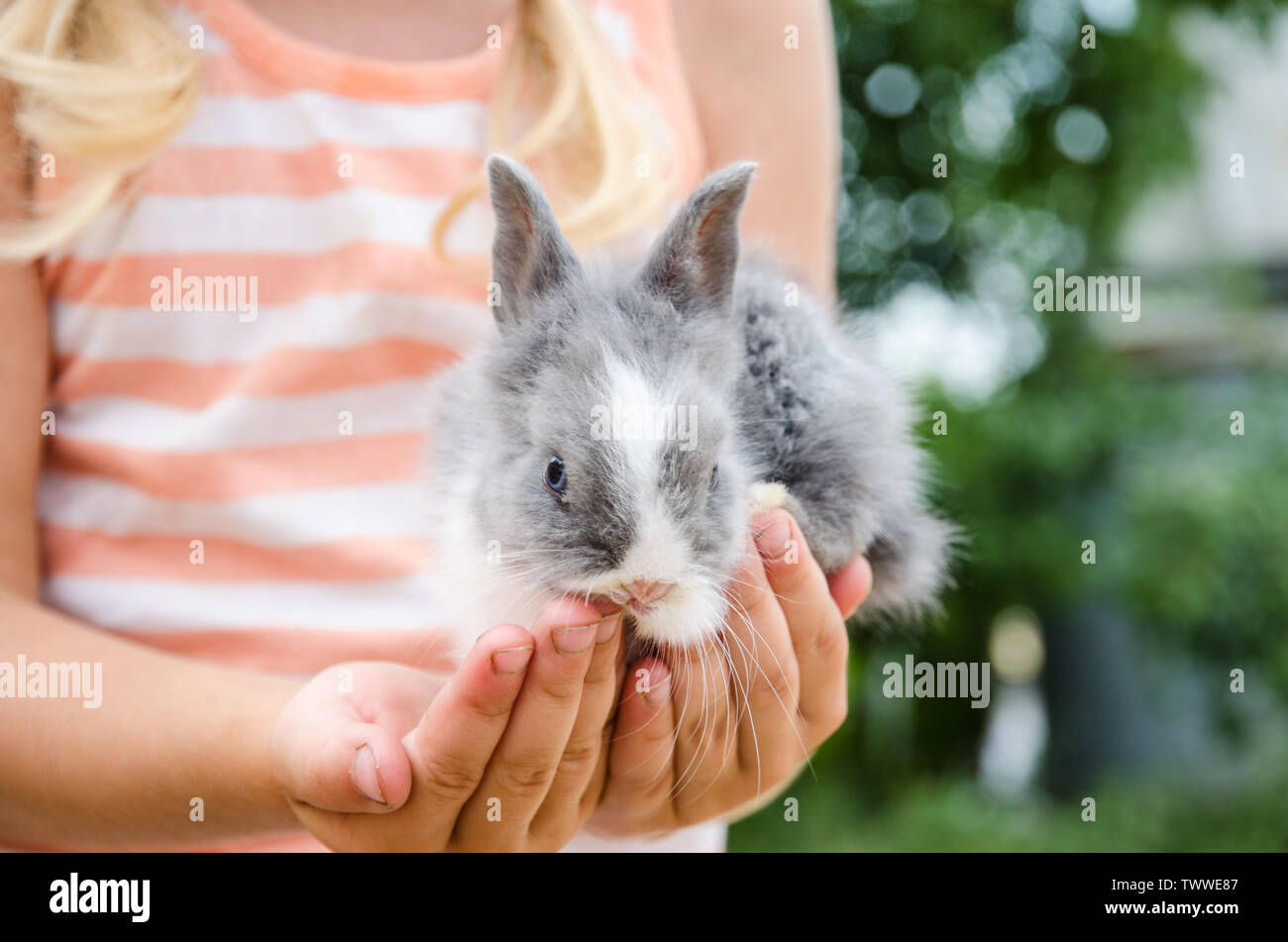 Mädchen, dass junge Kaninchen Kaninchen in Händen detail Stockfoto