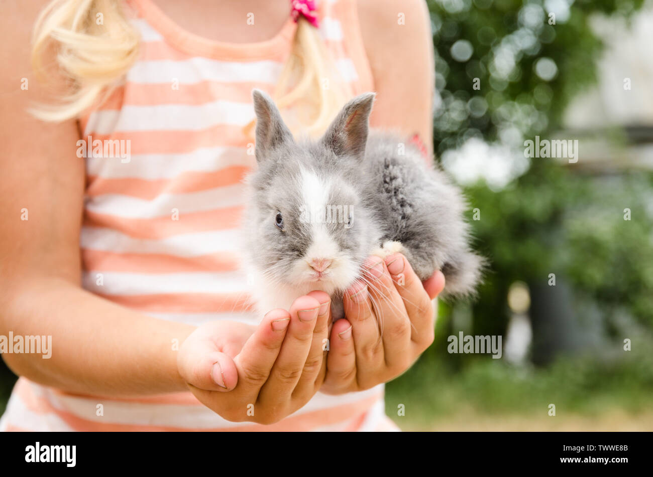 Mädchen, dass junge Kaninchen Kaninchen in Händen detail Stockfoto