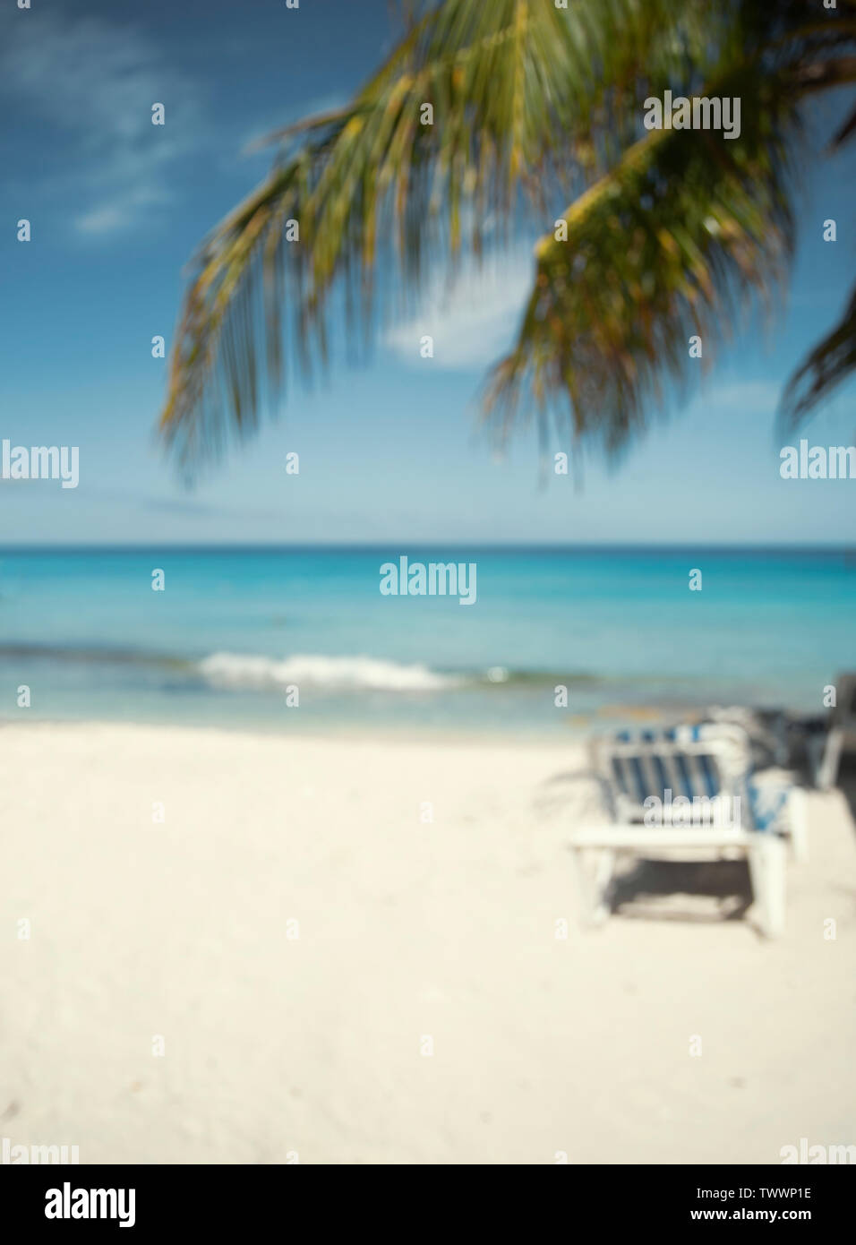 Blur Hintergrund Strand, Sonnenbank und Palm Tree Stockfoto